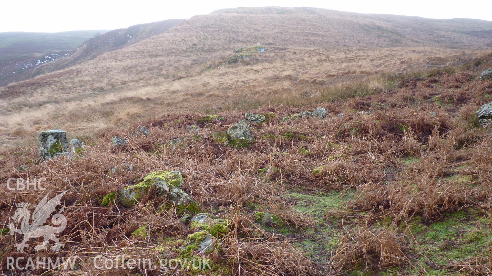 Remains of Cerrig Llwydion deserted rural settlement. Looking south west. Photographed for Archaeological Desk Based Assessment of Afon Claerwen, Elan Valley, Rhayader. Assessment conducted by Archaeology Wales in 2017-18. Project no. 2573.