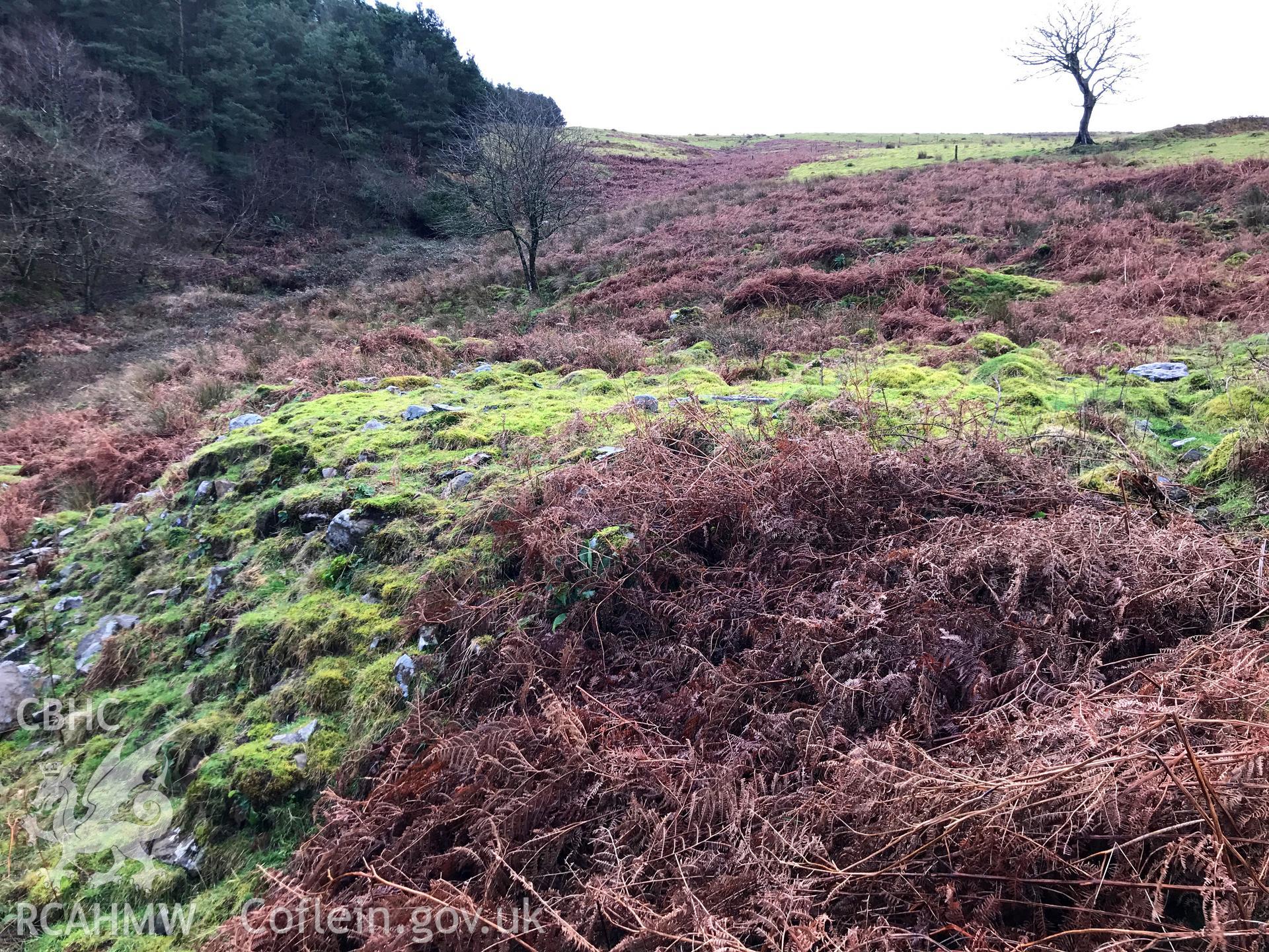 Digital colour photograph showing Foel Fynyddau Farmstead, Glyncorrwg, taken by Paul Davis on 12th January 2020.