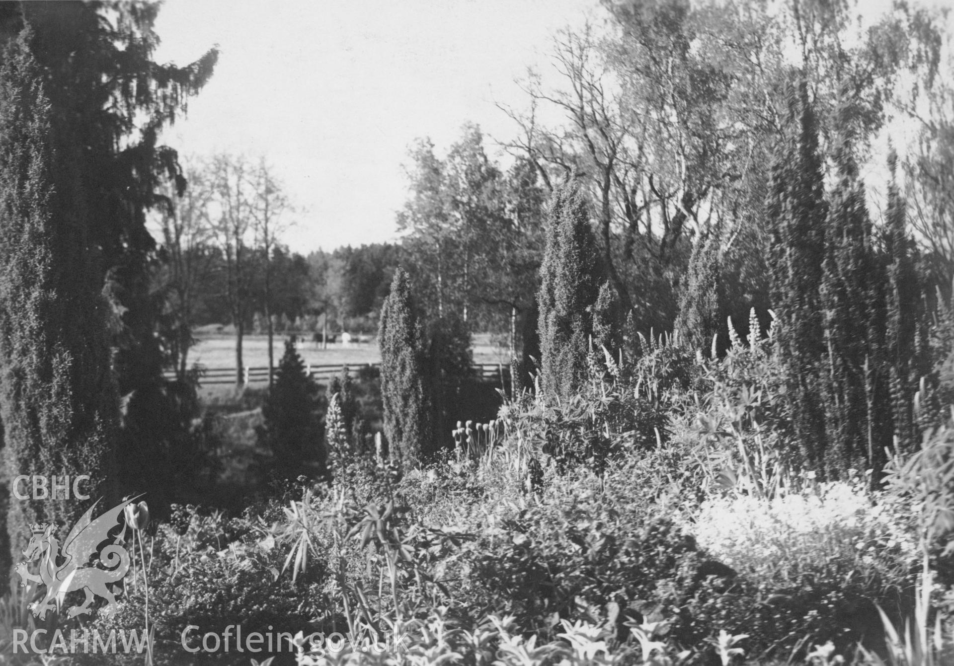 Digital copy of a black and white photograph, showing unidentified view.