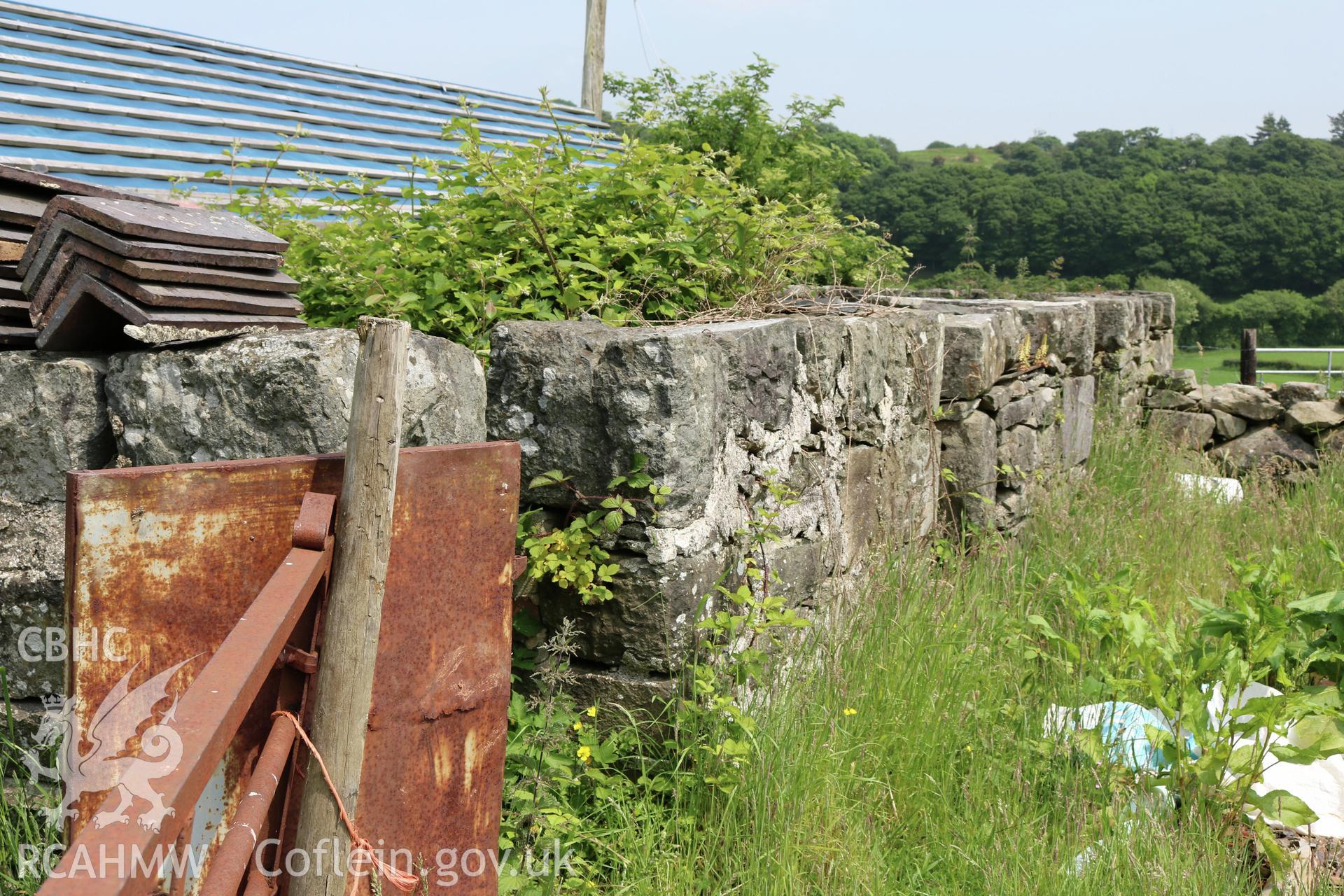 Photograph showing exterior view of pigsties, at Maes yr Hendre, taken by Dr Marian Gwyn, 6th July 2016. (Original Reference no. 0210)