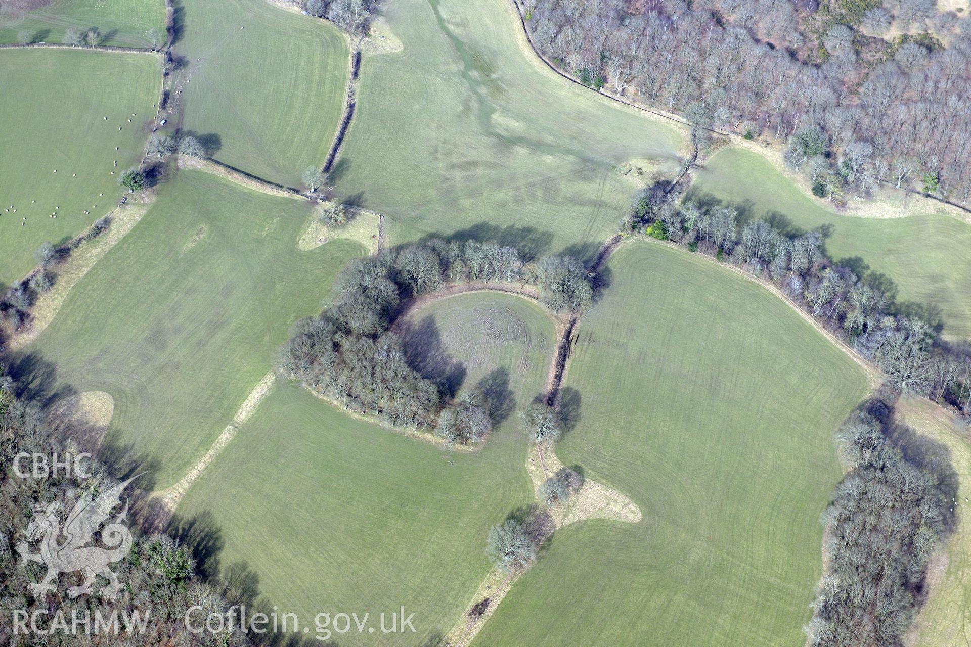 Pwll-y-Clai defended enclosure, west of Ruthin. Oblique aerial photograph taken during the Royal Commission?s programme of archaeological aerial reconnaissance by Toby Driver on 28th February 2013.