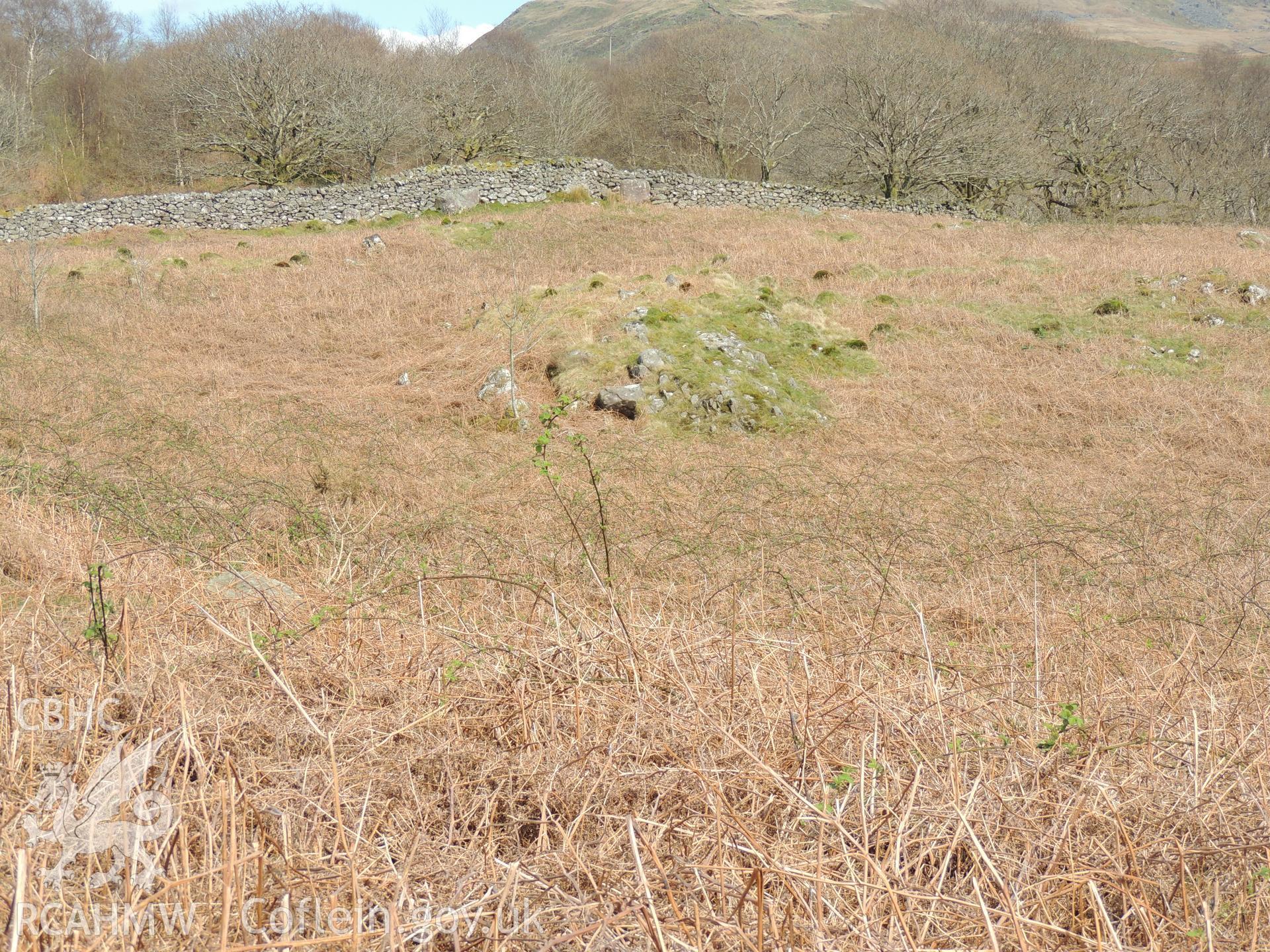 'View of possible archaeological remains located c. SH62176 43837.' Photographed as part of desk based assessment and heritage impact assessment of a hydro scheme on the Afon Croesor, Brondanw Estate, Gwynedd. Produced by Archaeology Wales, 2018.