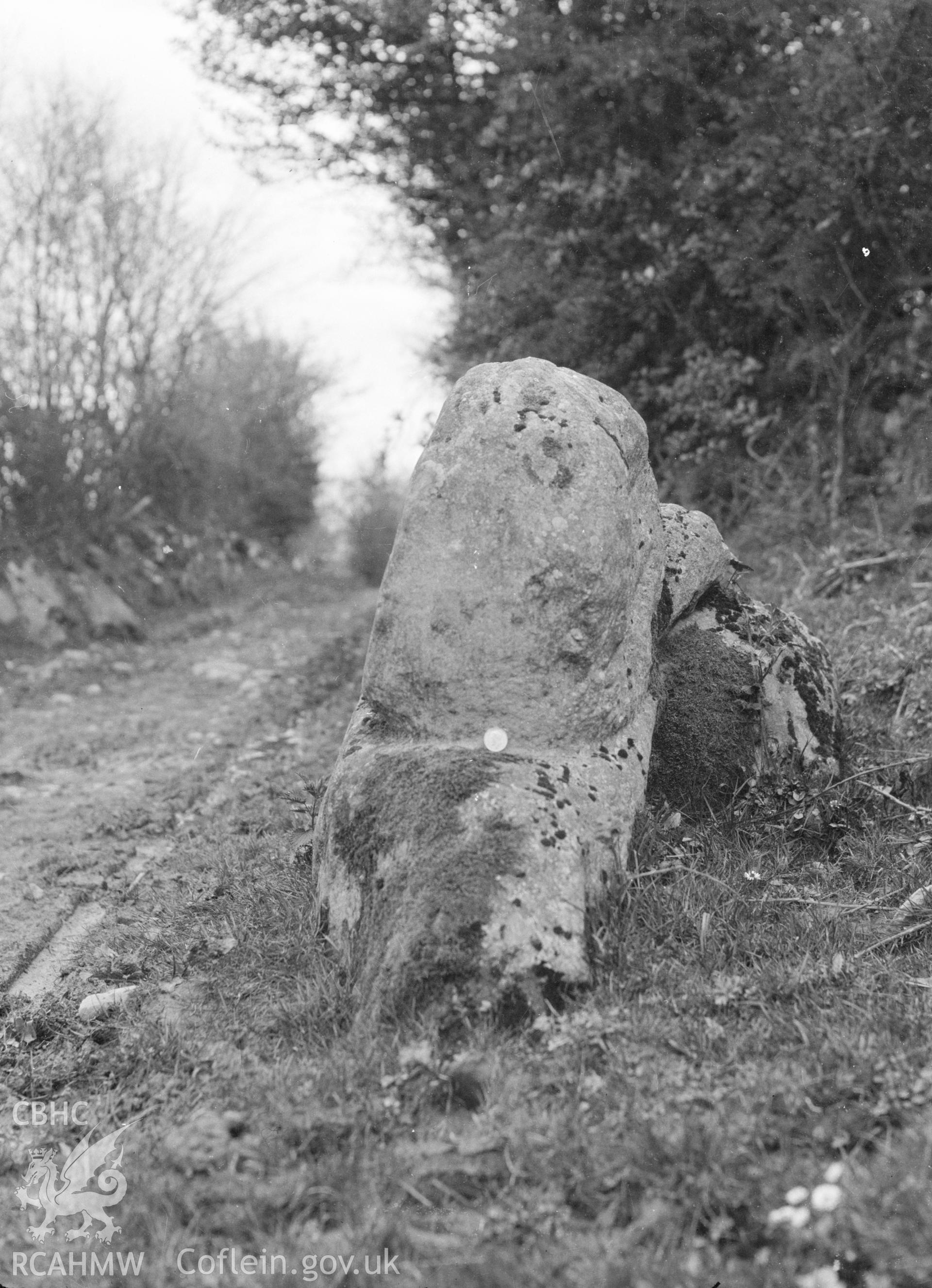 Digital copy of a nitrate negative showing Upper Pen y Fforest Stone, Clyro.