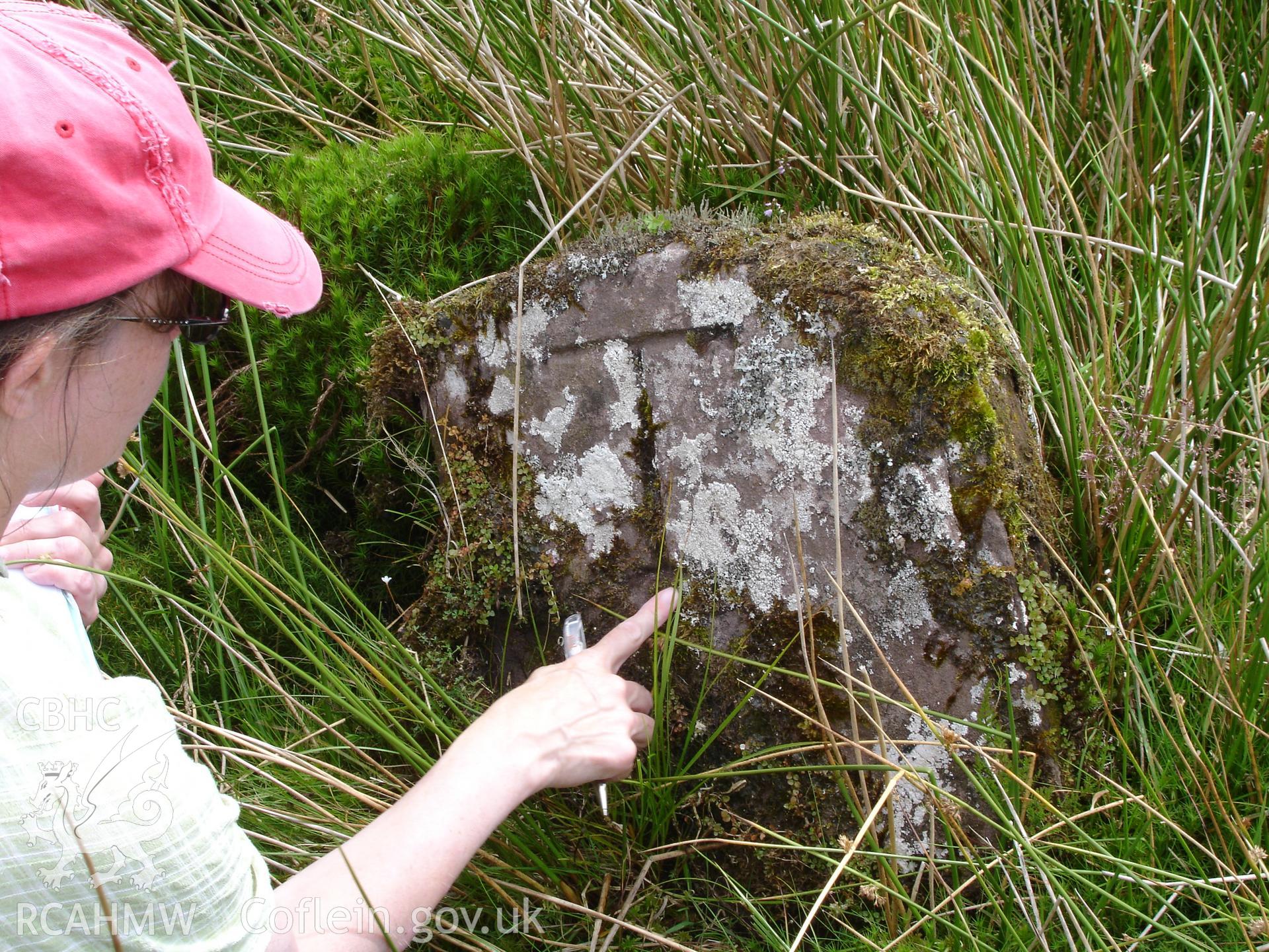 Digital colour photograph of Nant Bwch Stone I taken on 10/08/2007 by R.P.Sambrook during the Black Mountains Central (North) Survey undertaken by Trysor.