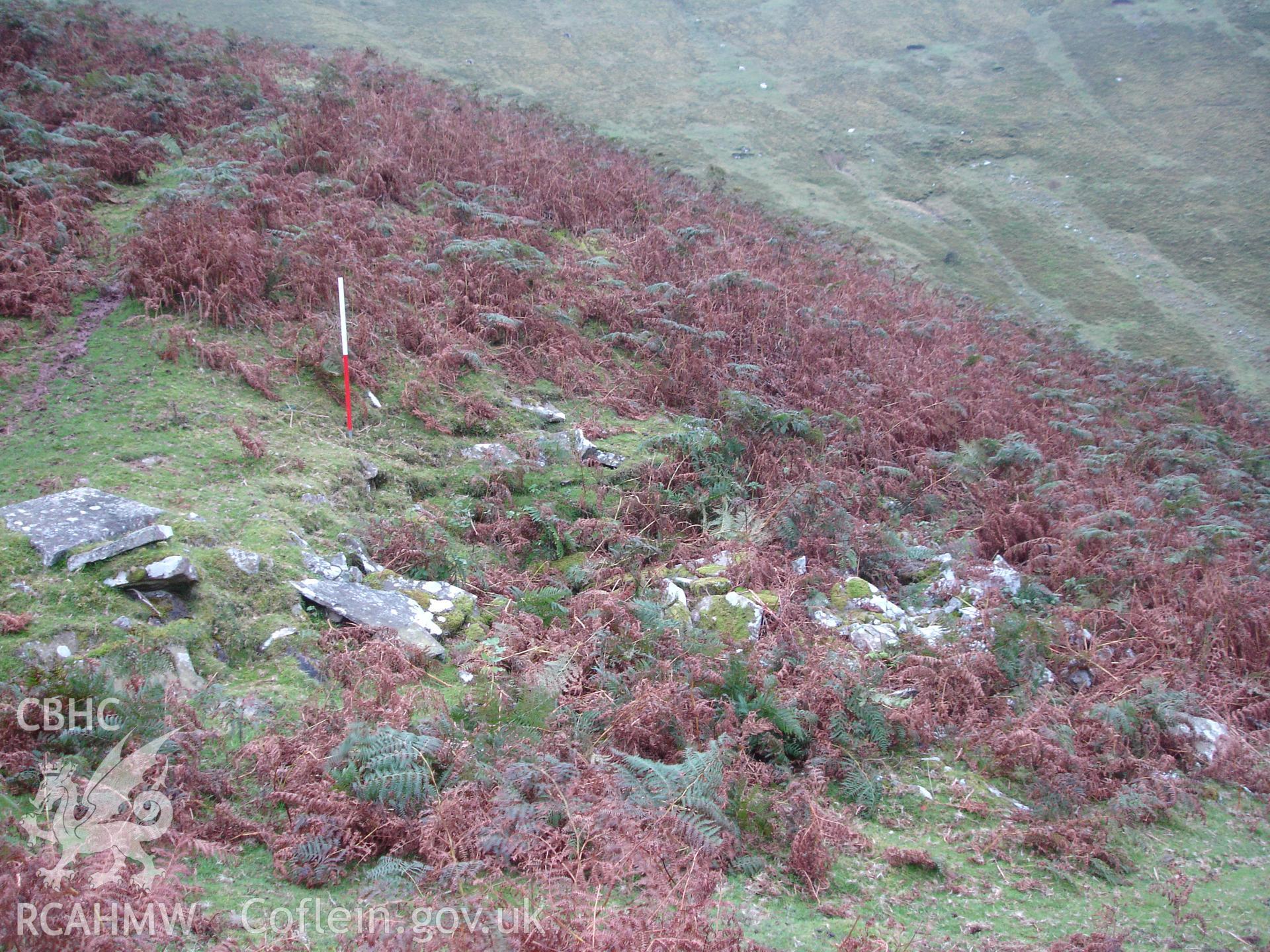 Digital colour photograph of Rhiangoll Long Hut I taken on 03/10/2007 by R.P.Sambrook during the Black Mountains Central (North) Survey undertaken by Trysor.