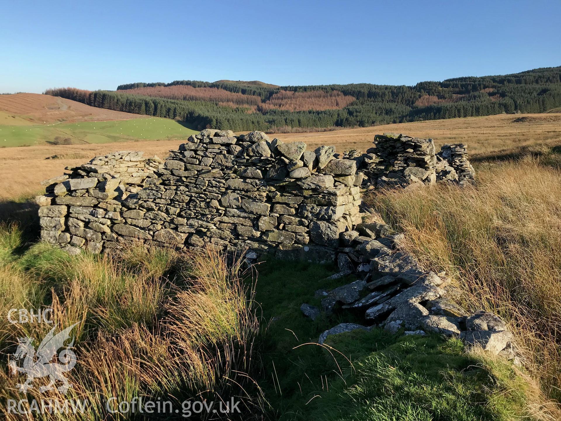 Exterior view of the remains of Cil-y-Bryn house, which is south west of Bryneithinog farm, Ystrad Fflur. Colour photograph taken by Paul R. Davis on 18th November 2018.