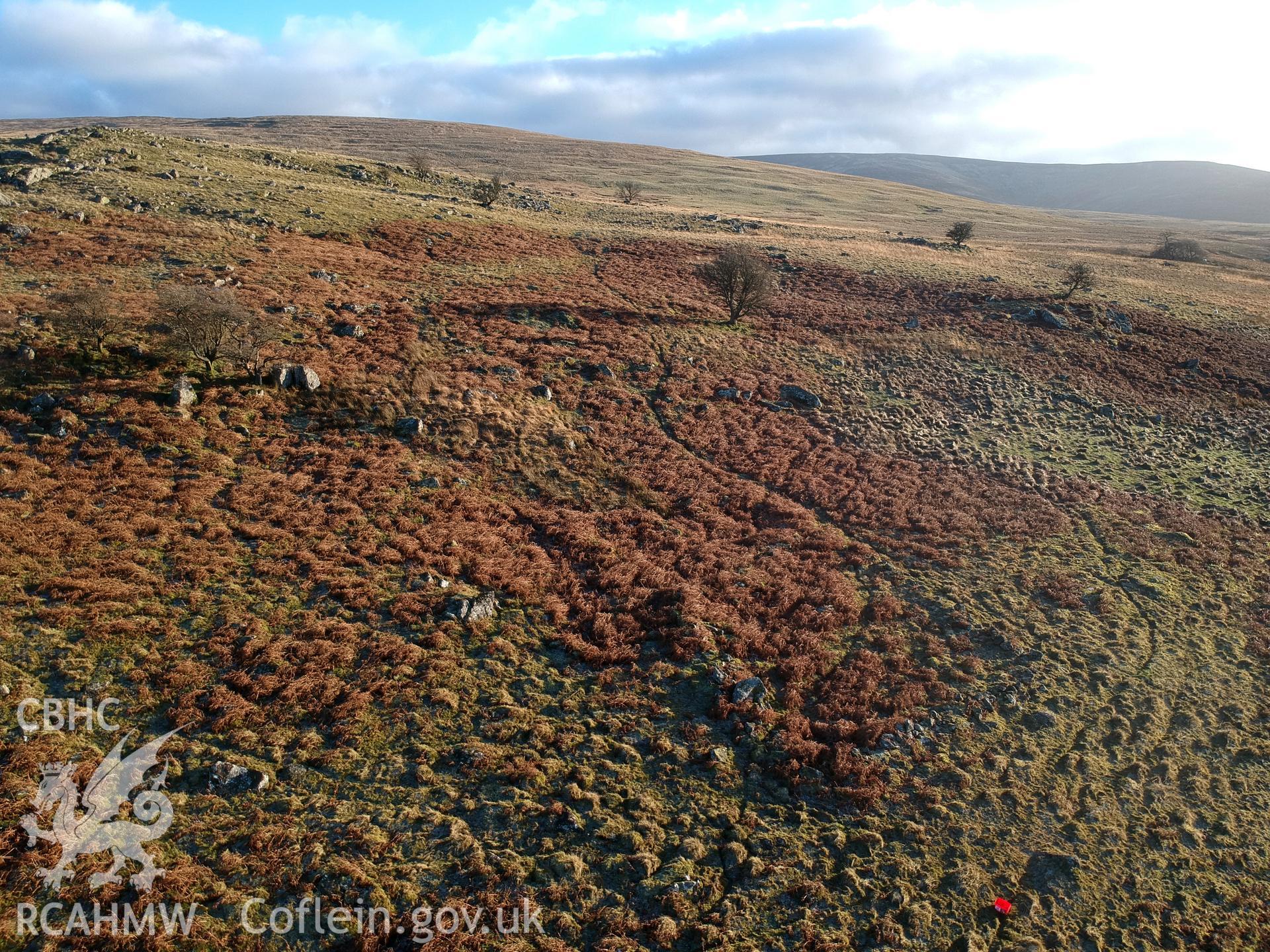 Aerial view of the Ffridd Camen Hafodydd, Llandrillo. Colour photograph taken by Paul R. Davis on 2nd January 2019.