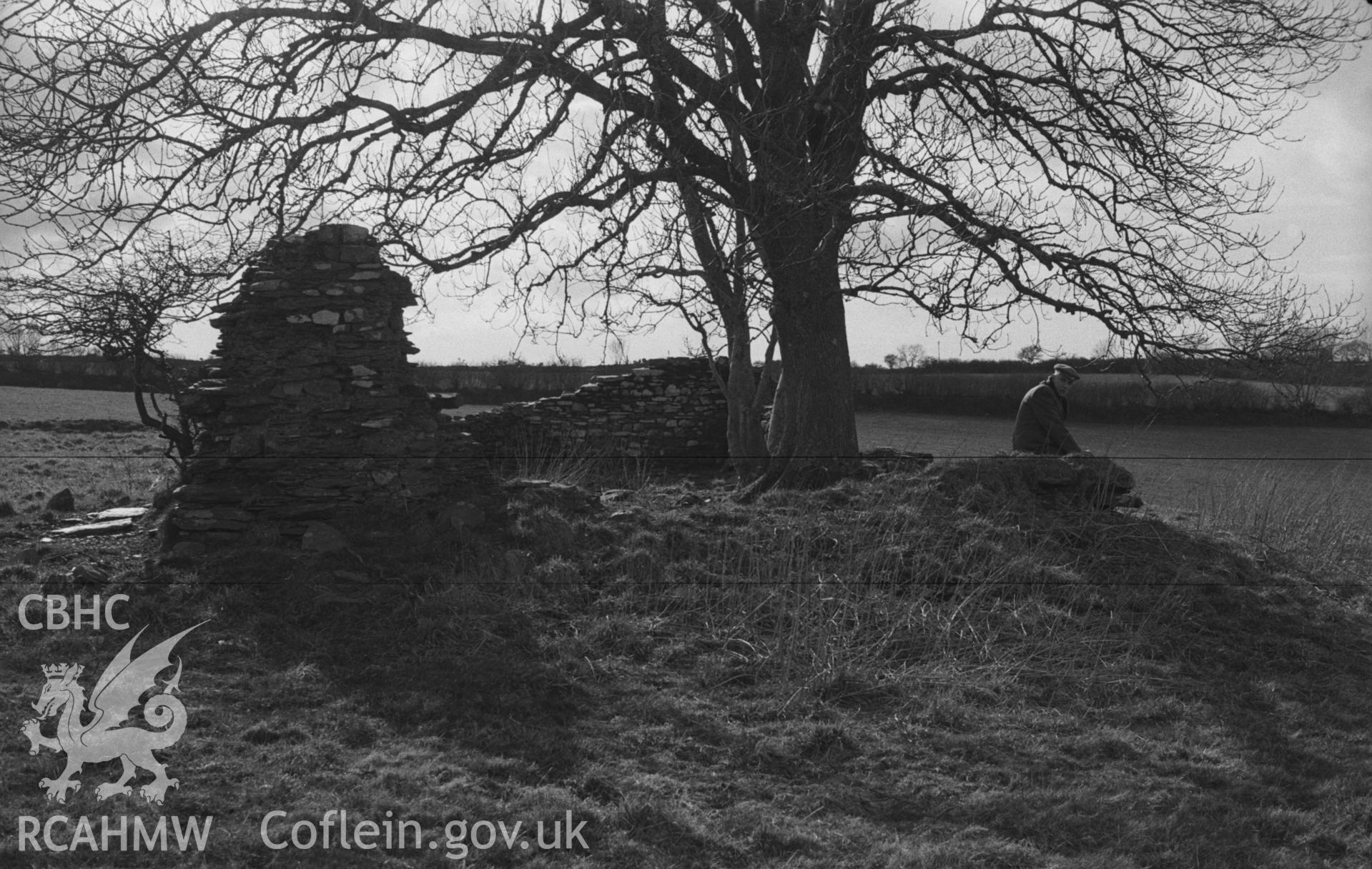 Digital copy of a black and white negative showing ruin of St Mary's church, Llanfair Trefhelygen. Photographed in April 1963 by Arthur O. Chater from Grid Reference SN 3440 4413, looking west.