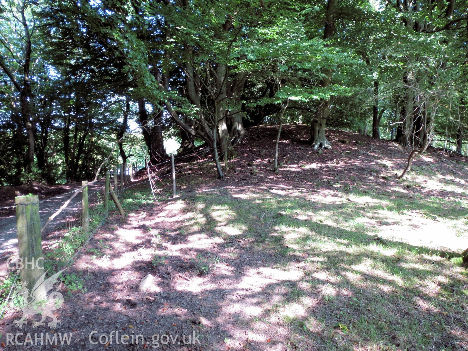 The central mound of Caer Licyn. Looking north-east. Part of Archaeological Watching Brief of Caerlicyn Lane, Langstone, Newport, carried out by Archaeology Wales, 2016.