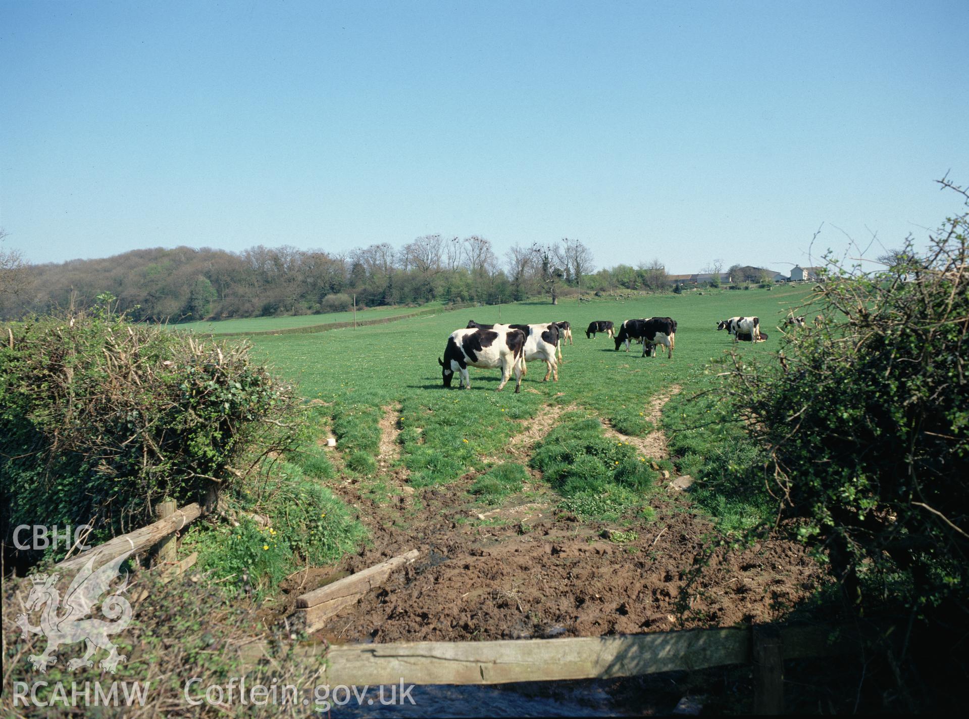 Digital copy of a colour negative showing Merthyr Geryn, Tintern Abbey Grange, 1995.