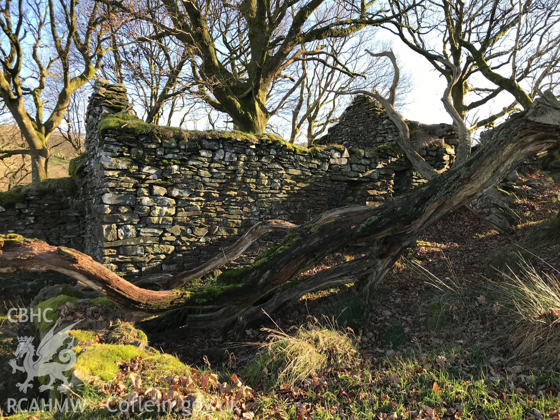 Exterior view of the remains of a stone cottage west of the ruined Castell, which is south west of Bryneithinog farm, Ystrad Fflur. Colour photograph taken by Paul R. Davis on 18th November 2018.