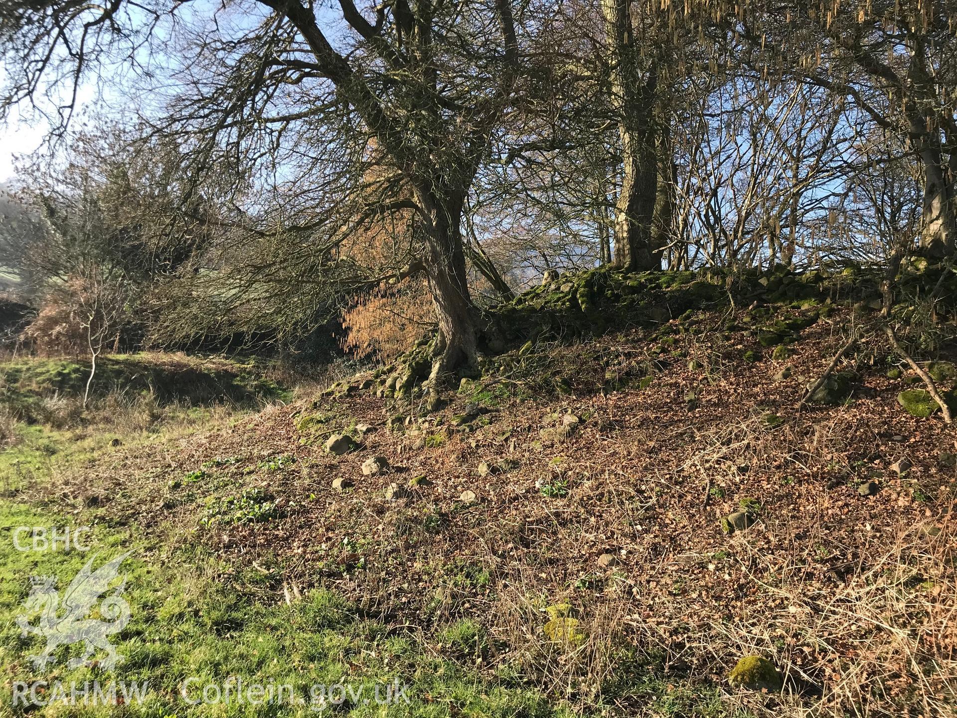 Colour photograph of Hen Castell and surrounding moat, Llangattock, Abergavenny, taken by Paul R. Davis on 24th February 2019.