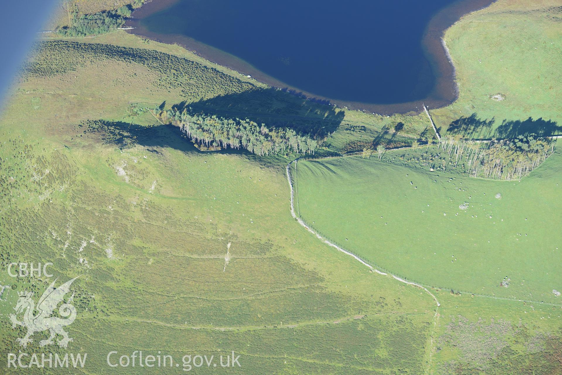 Cultivation or ploughing marks at Llynnau Cregennen on the slopes of Cadair Idris. Oblique aerial photograph taken during the Royal Commission's programme of archaeological aerial reconnaissance by Toby Driver on 2nd October 2015.