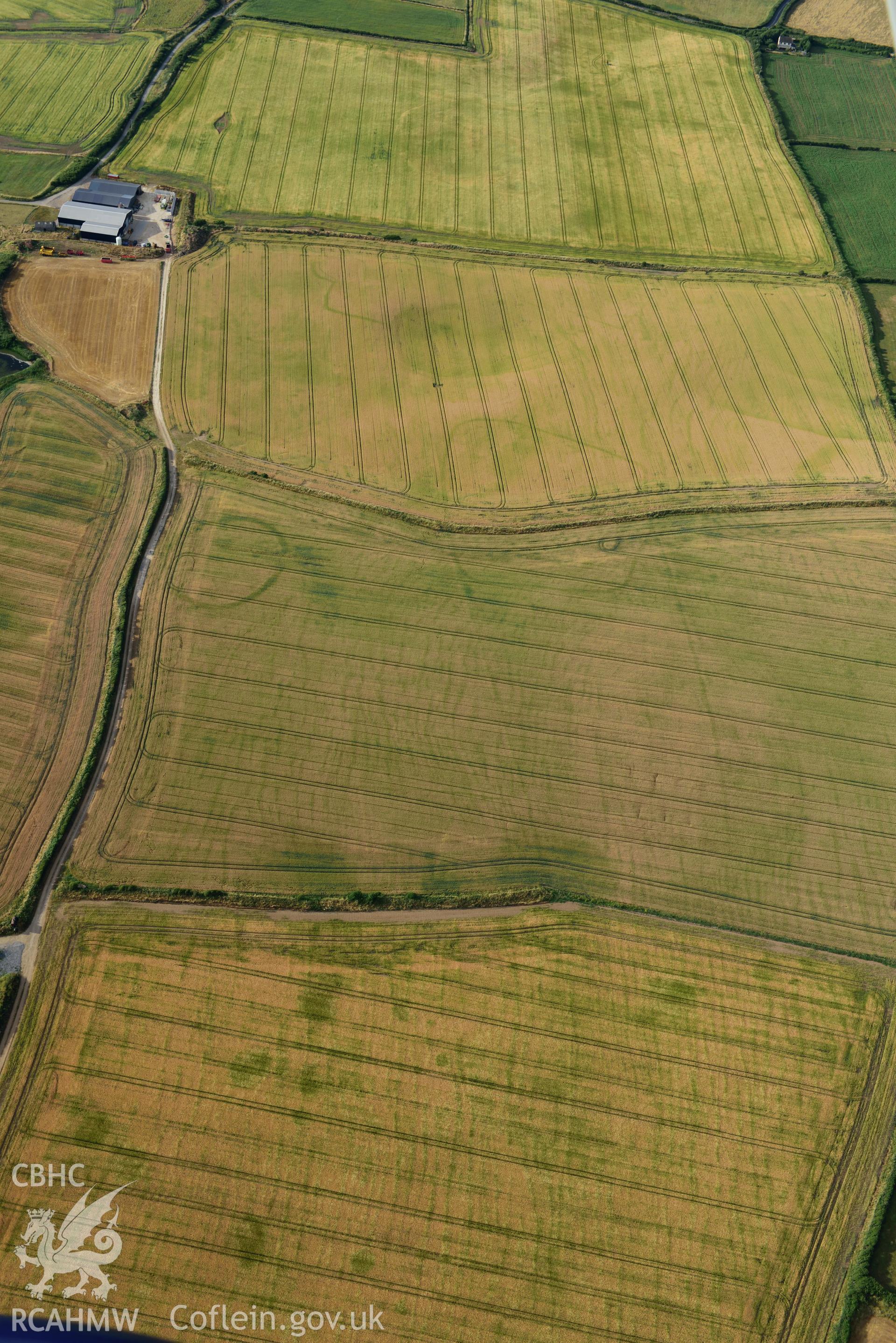 Royal Commission aerial photography of Paviland Manor cropmark complex, south-west circular enclosure, taken on 17th July 2018 during the 2018 drought.