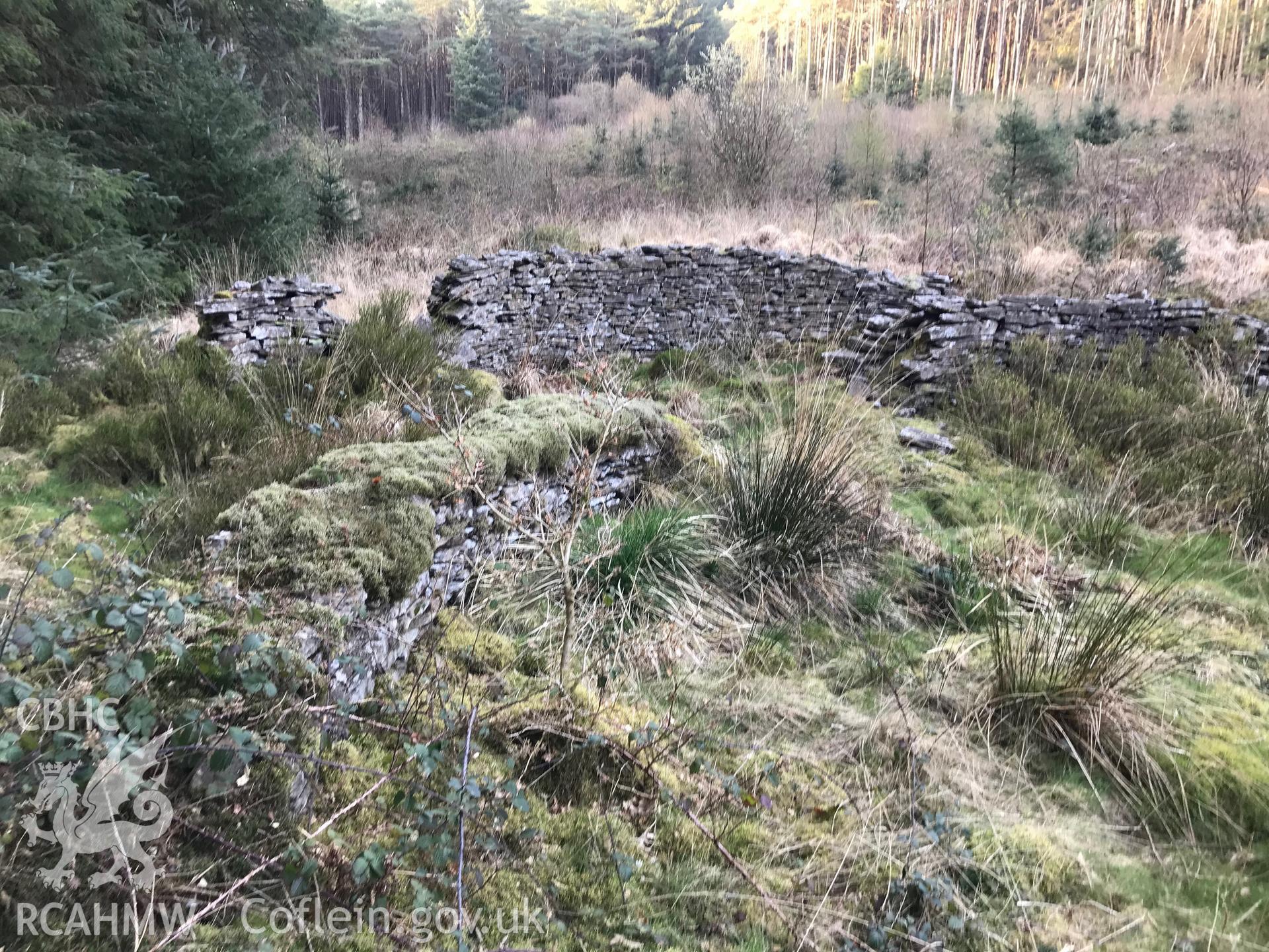 Digital colour photograph of poorly preserved site at Blaen Pelena, Pelenna, east of Neath, taken by Paul R. Davis on 30th March 2019.