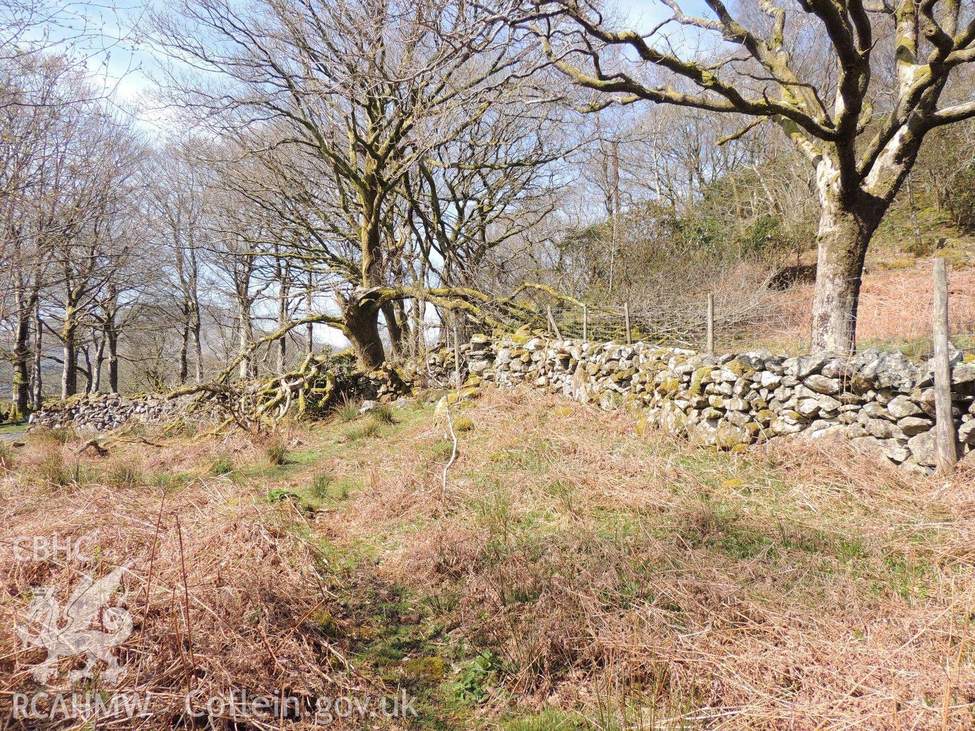 'View toward west from c. SH62447 44123.' Photographed as part of desk based assessment and heritage impact assessment of a hydro scheme on the Afon Croesor, Brondanw Estate, Gwynedd. Produced by Archaeology Wales for Renewables First Ltd. 2018.