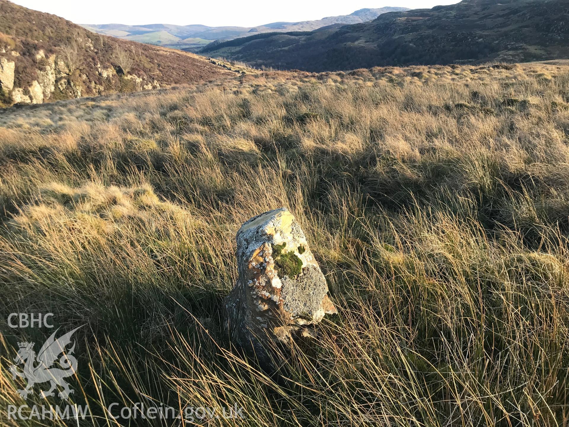 Digital colour photograph of possible boundary stone on Ffridd Trawsgoed, Llanuwchllyn, taken by Paul R. Davis on 14th February 2019.
