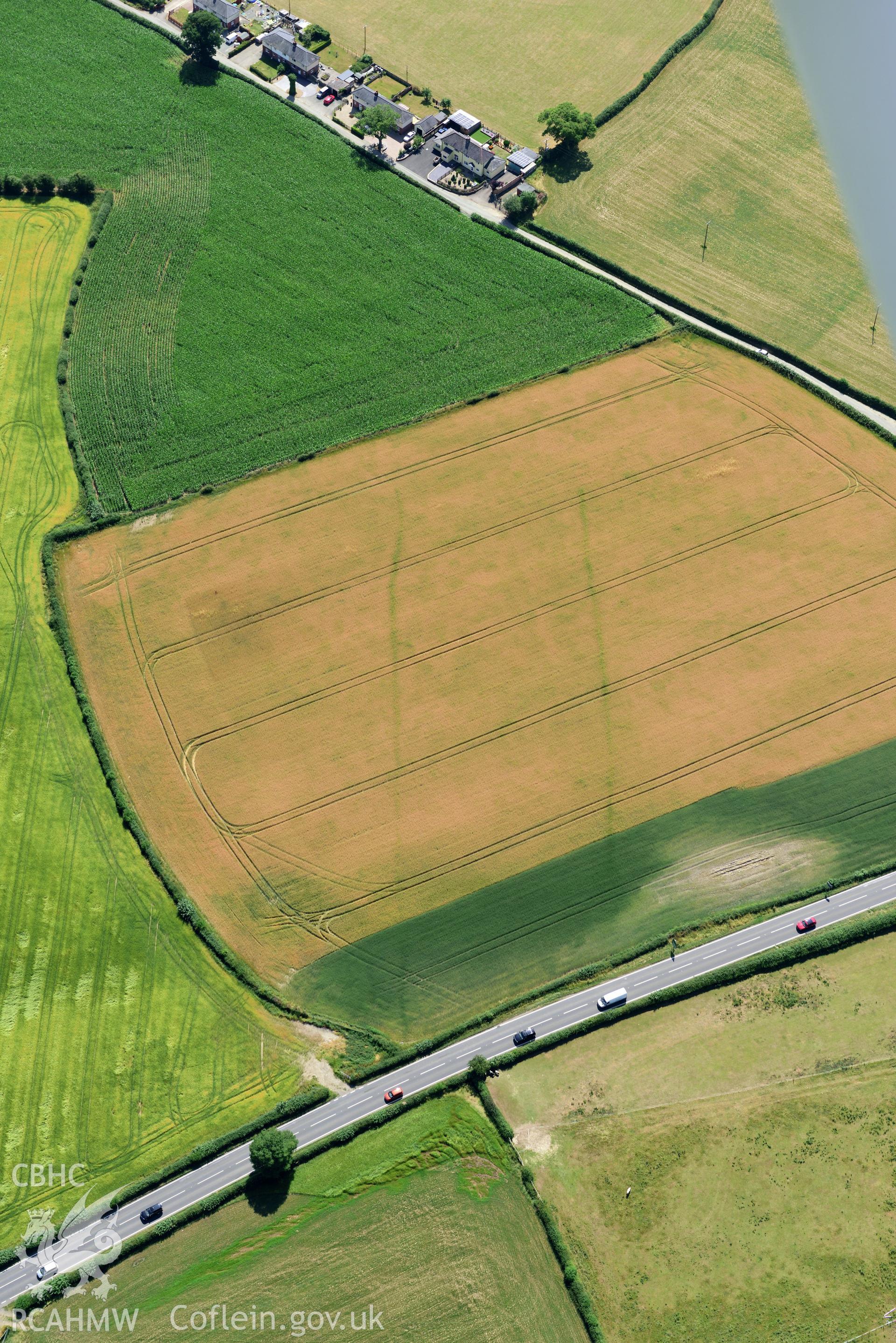 Royal Commission aerial photography of cropmarks of Lower Luggy Cursus taken on 19th July 2018 during the 2018 drought.