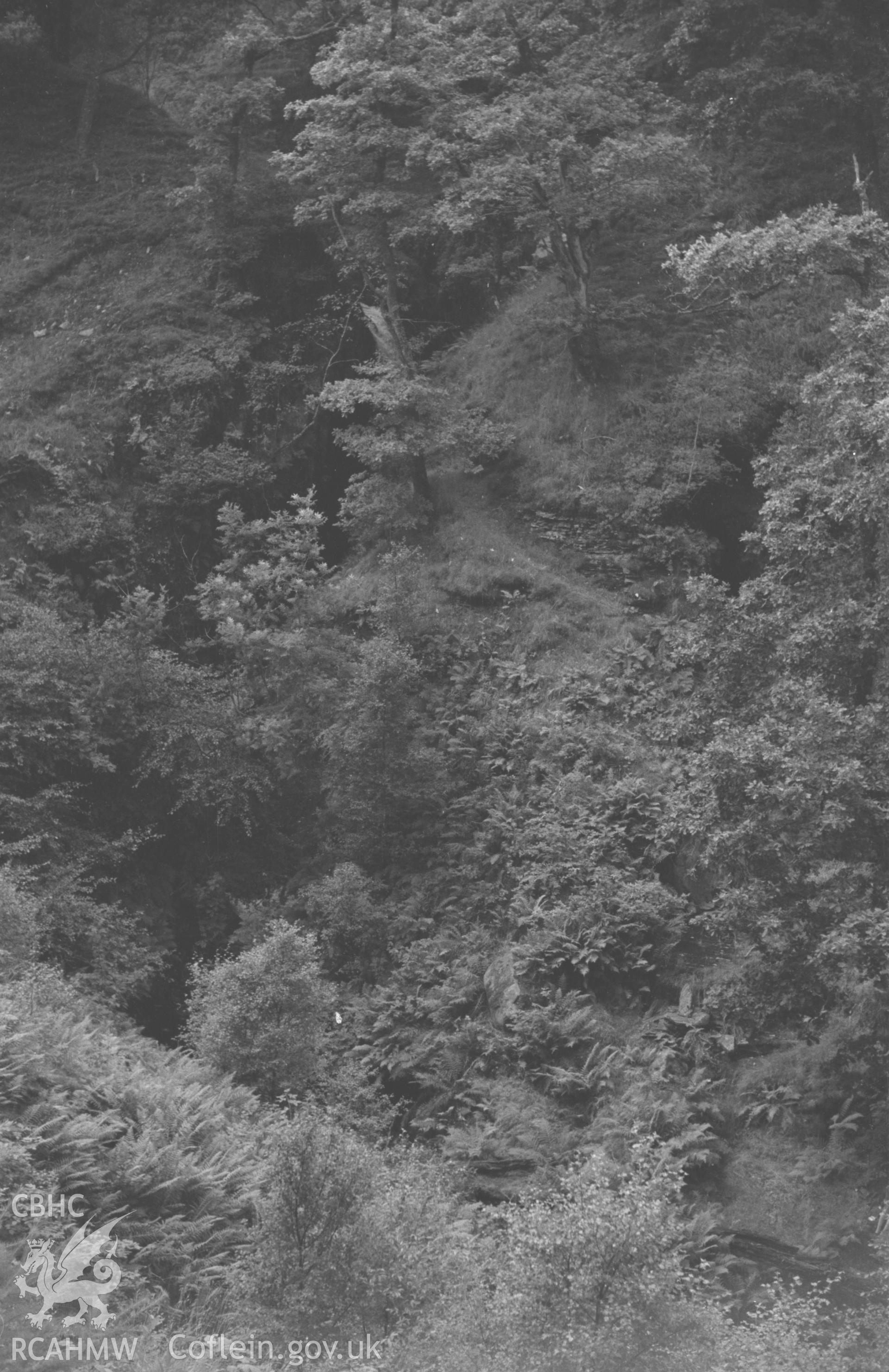 Digital copy of black & white negative showing Caerwern Waterfall (left) on Nant Gau, with Robber's Cave entrance (on right, just above centre). Photograph by Arthur O. Chater, September 1964 from Grid Ref SN 7752 7274, looking west south west.