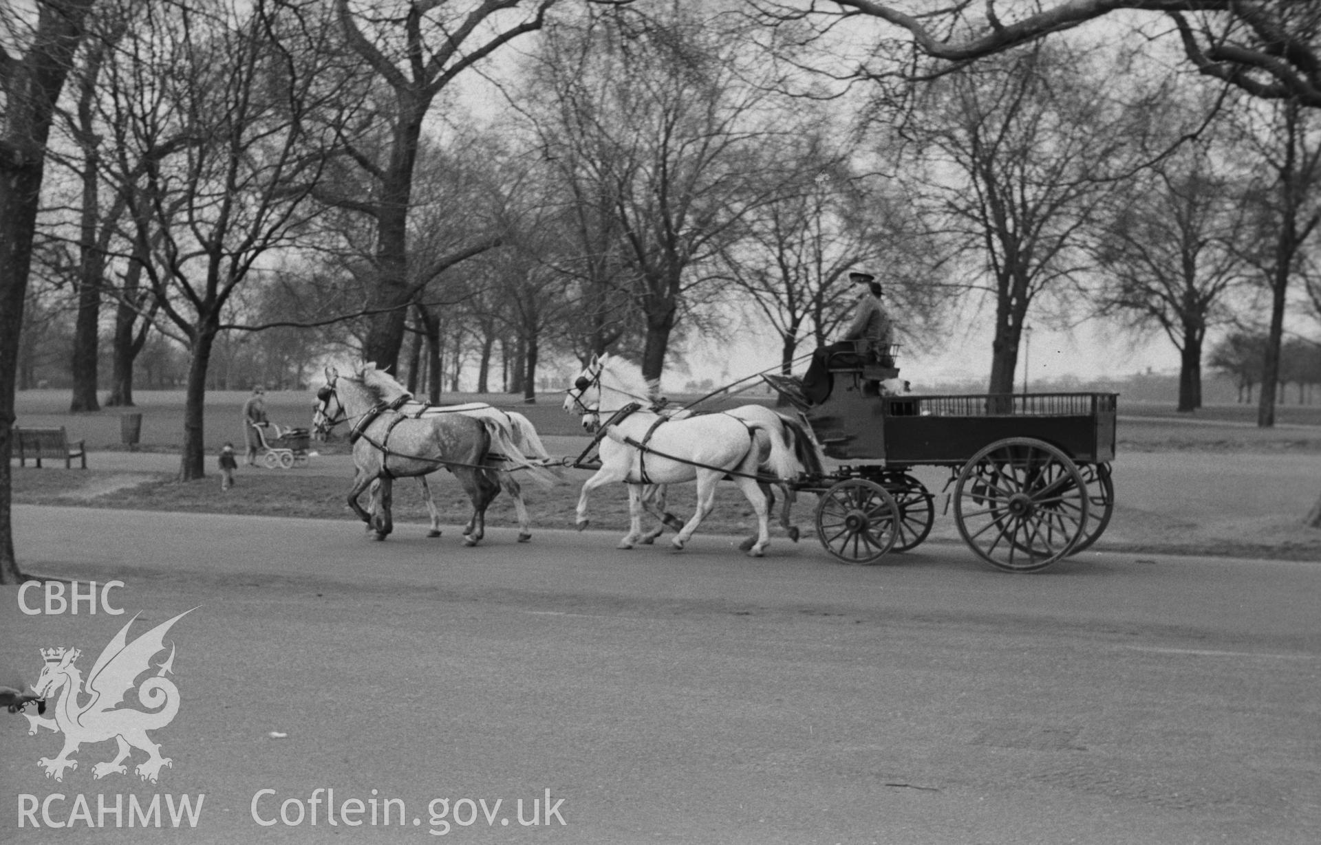 Black and White photograph showing horse-drawn carriage in London park.