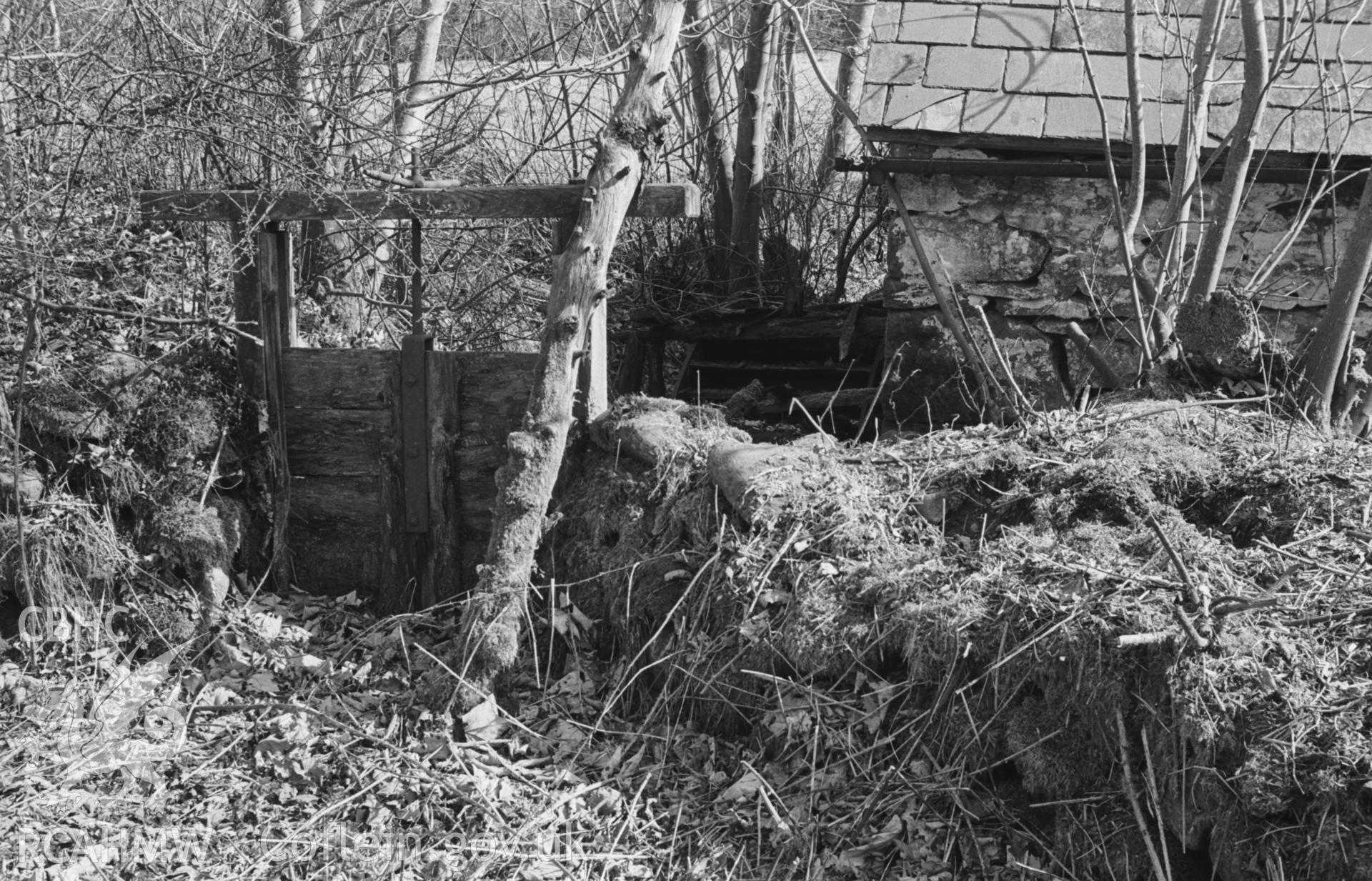 Black and White photograph showing view from inside the millpond of Rhyd-y-Pandy Mill, Llangeitho, showing sluice and top of overshot wheel. Photographed by Arthur Chater in April 1963, from Grid Reference SN 635 623, looking east.