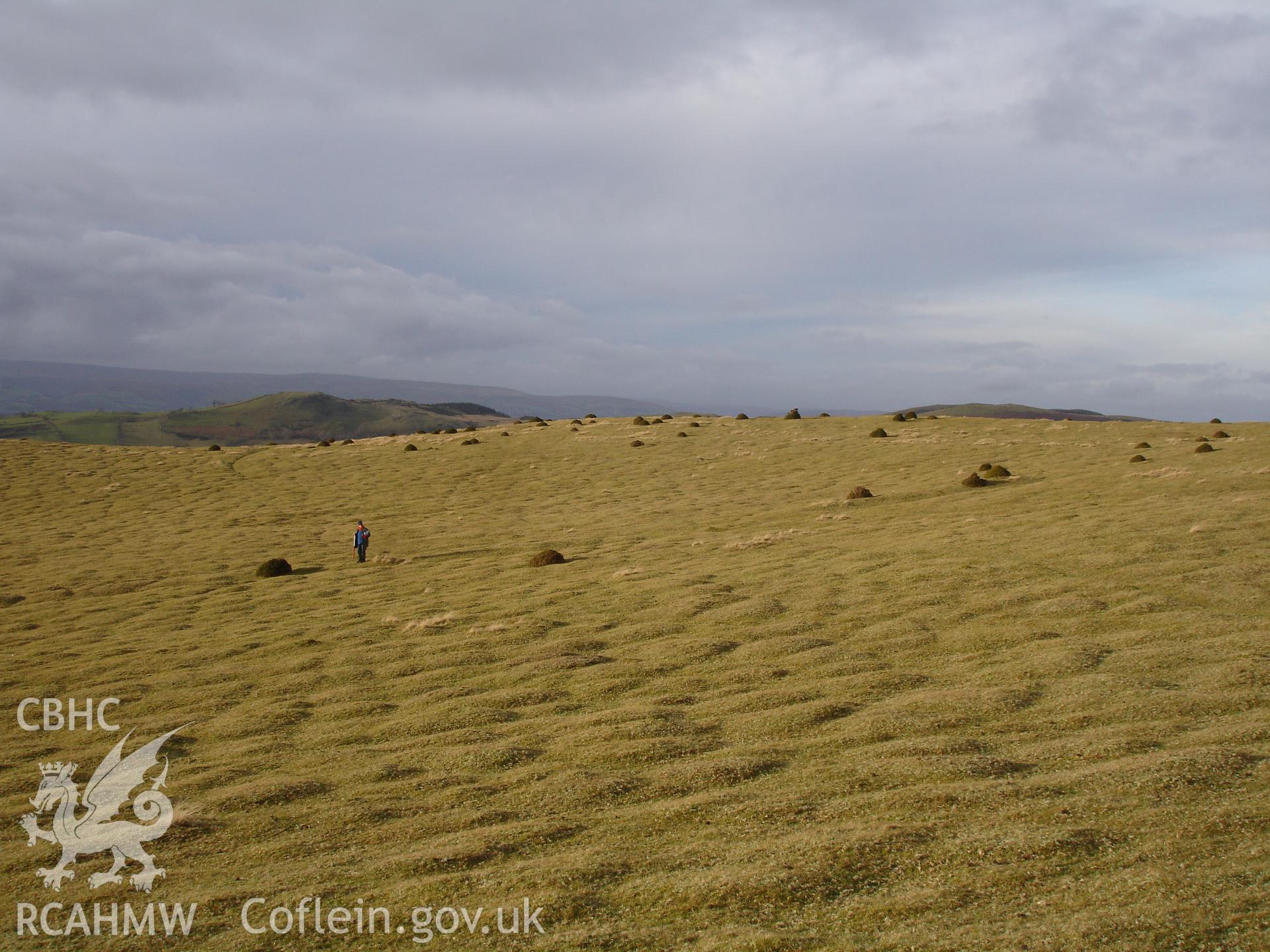Digital colour photograph of Rhiw Rhwstyn rectilinear enclosure east of Llanelwedd taken on 12/01/2008 by R.P. Sambrook during the Aberedw Hill Upland Survey undertaken by Trysor.