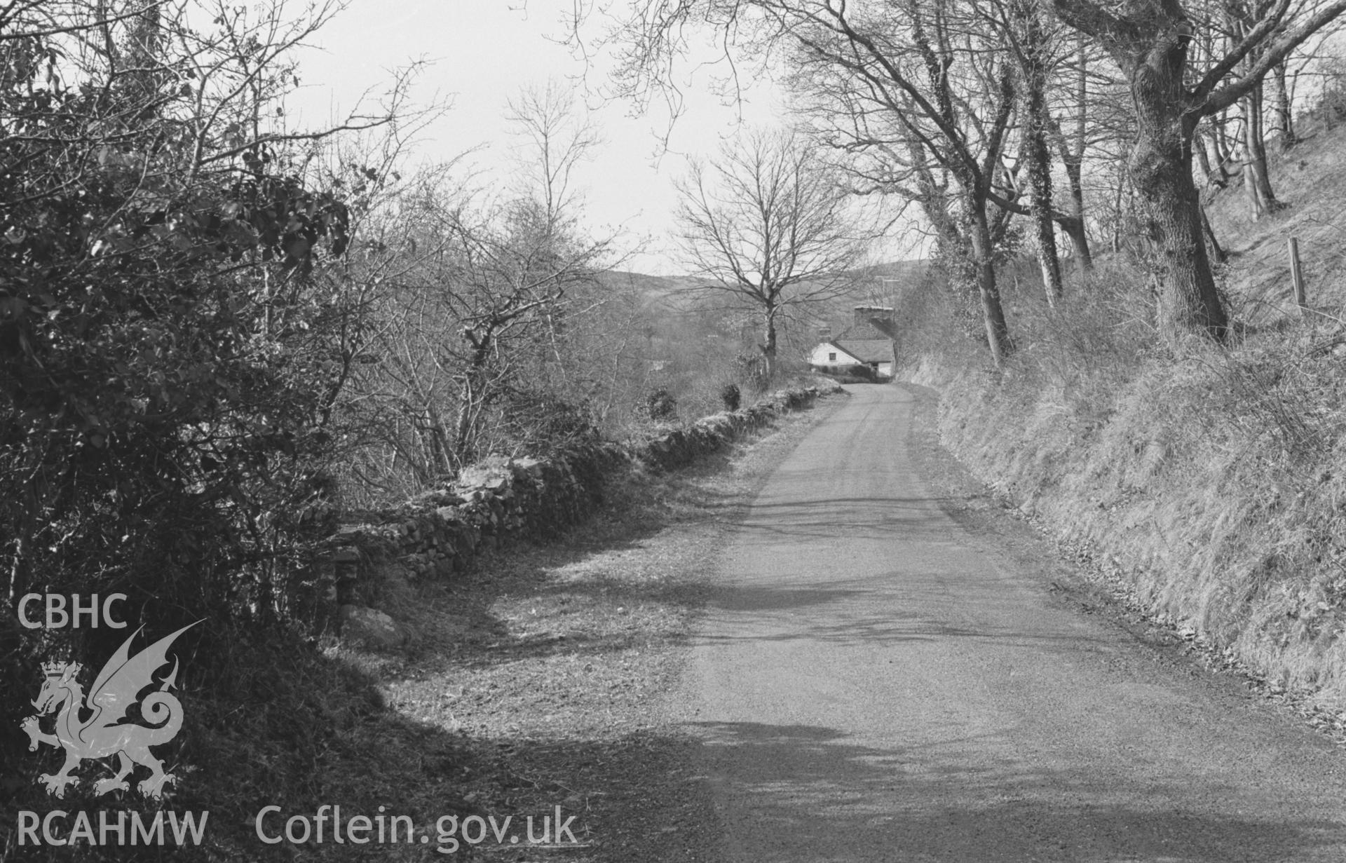 Black and White photograph showing view looking down the Mabws road to Dol Boeth near Llanrhystyd, on the north side of the Wyre-fach. Photographed by Arthur Chater in April 1963 from Grid Reference SN 551 690, looking north-west.