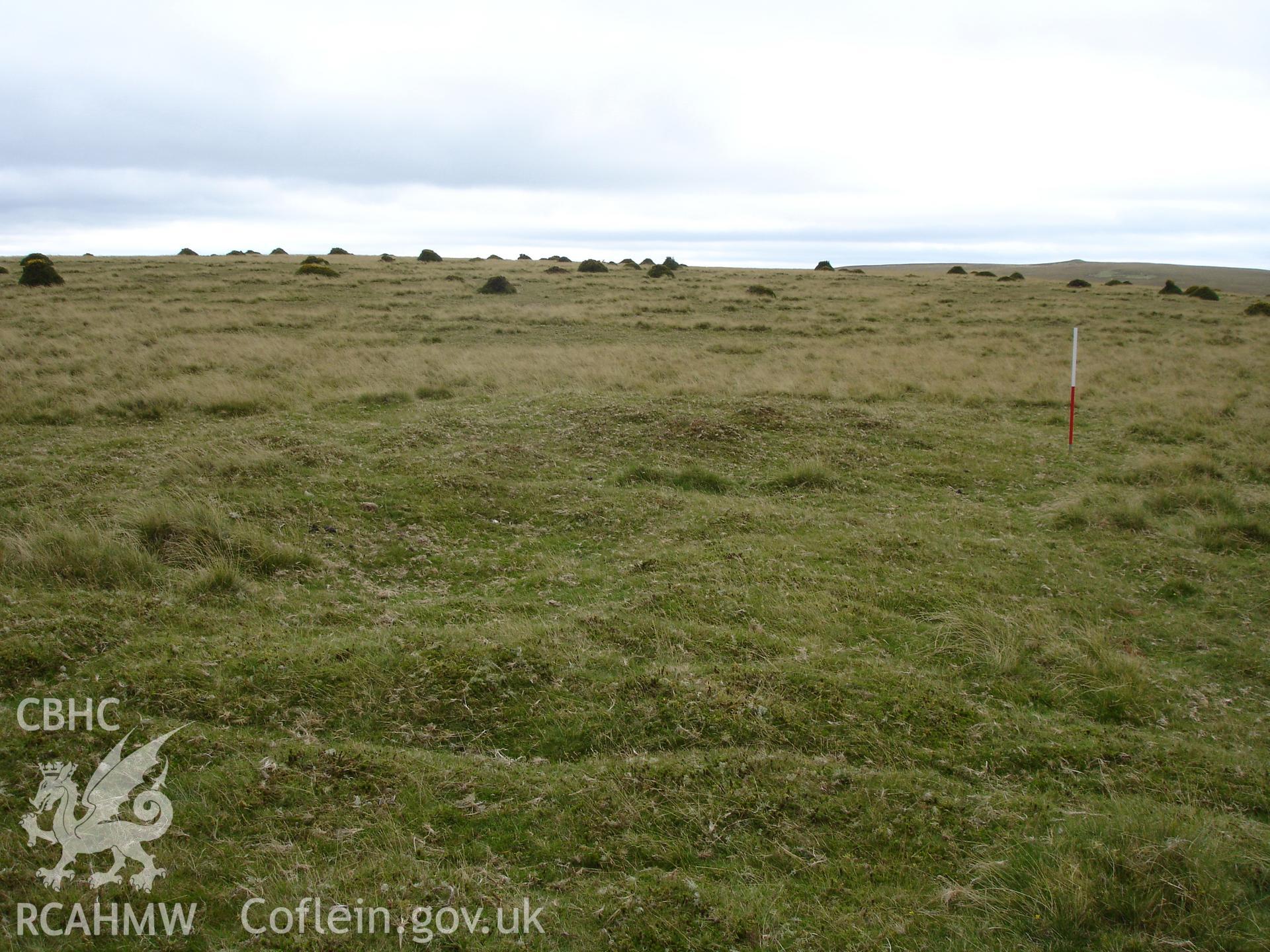 Mound, looking southwest.