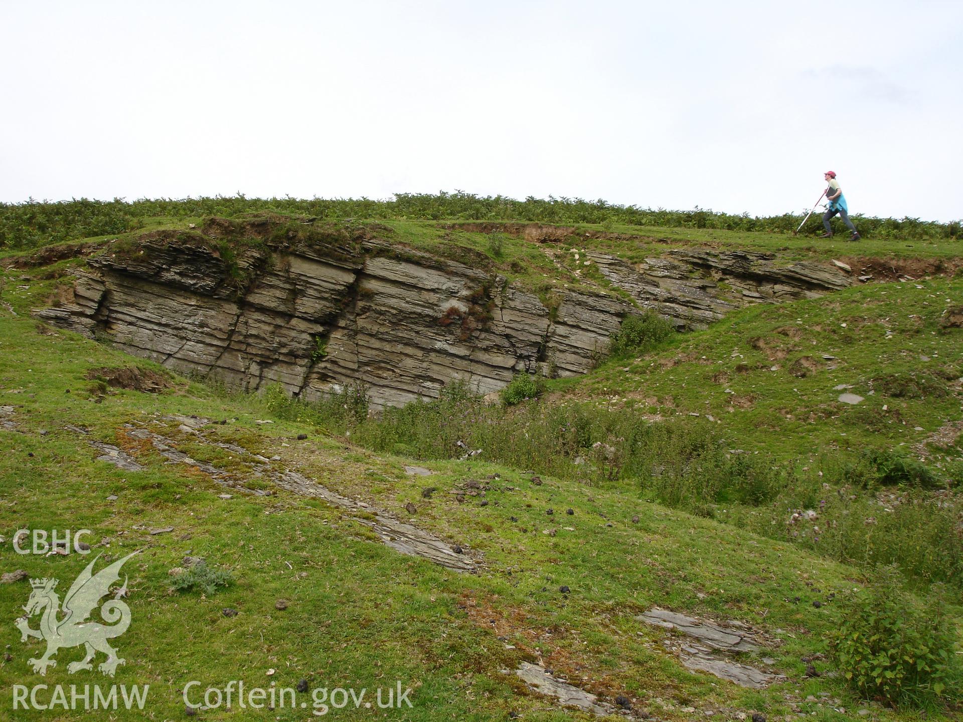 Part of quarry, looking north.