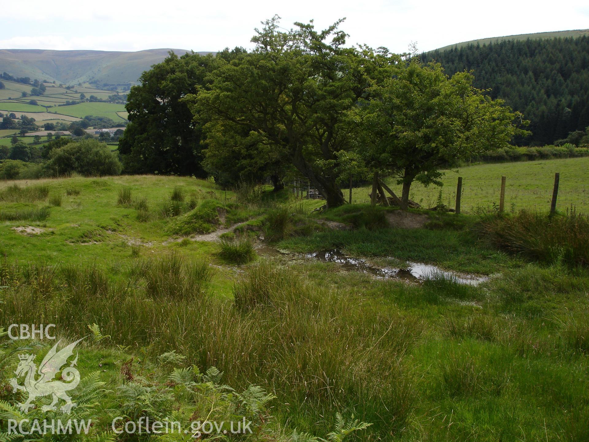 Pond, looking southeast.