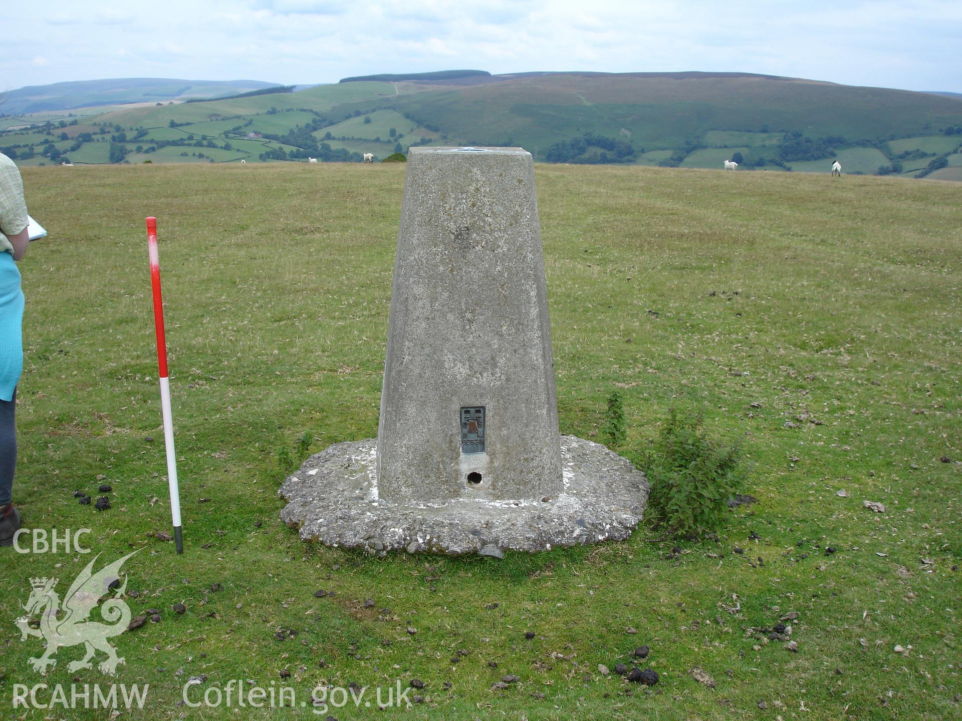 Triangulation pillar, looking northeast.