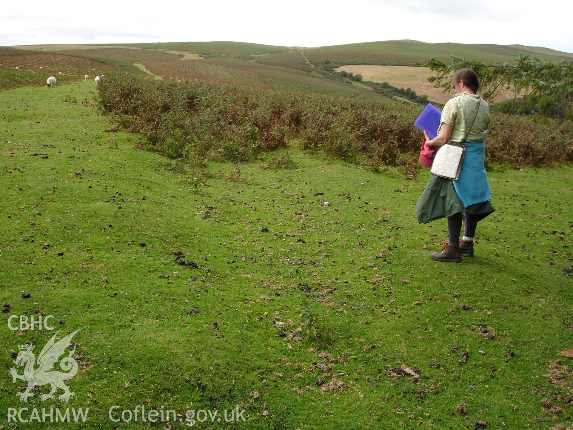 Trackway, looking west.