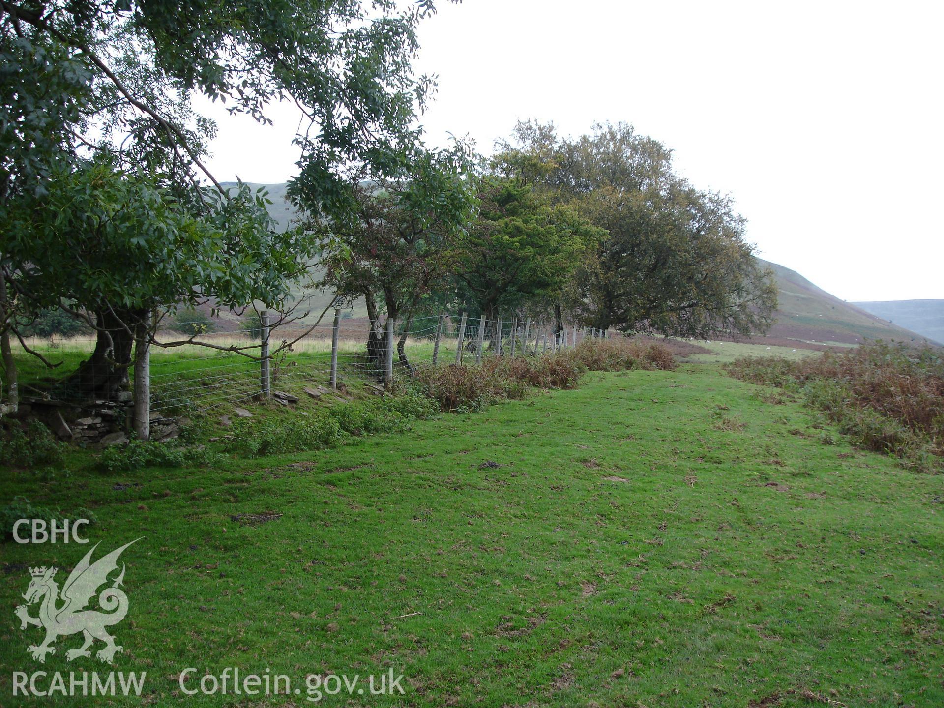 Digital colour photograph of Cwm Dwr Y Coed Enclosure taken on 07/10/2007 by R.P.Sambrook during the Black Mountains Central (North) Survey undertaken by Trysor.
