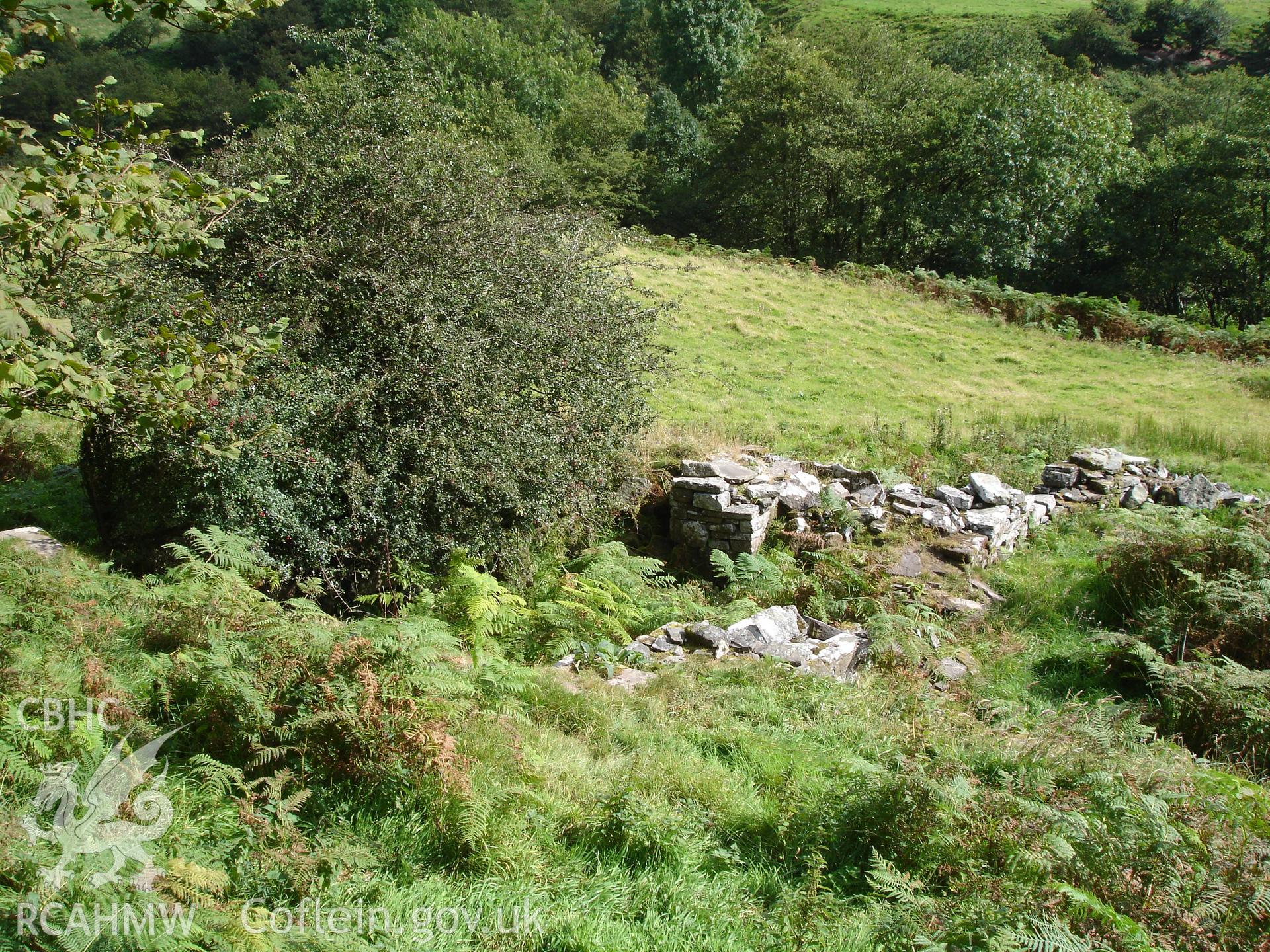 Digital colour photograph of Nant Bwch Complex taken on 16/09/2007 by R.P.Sambrook during the Black Mountains Central (North) Survey undertaken by Trysor.