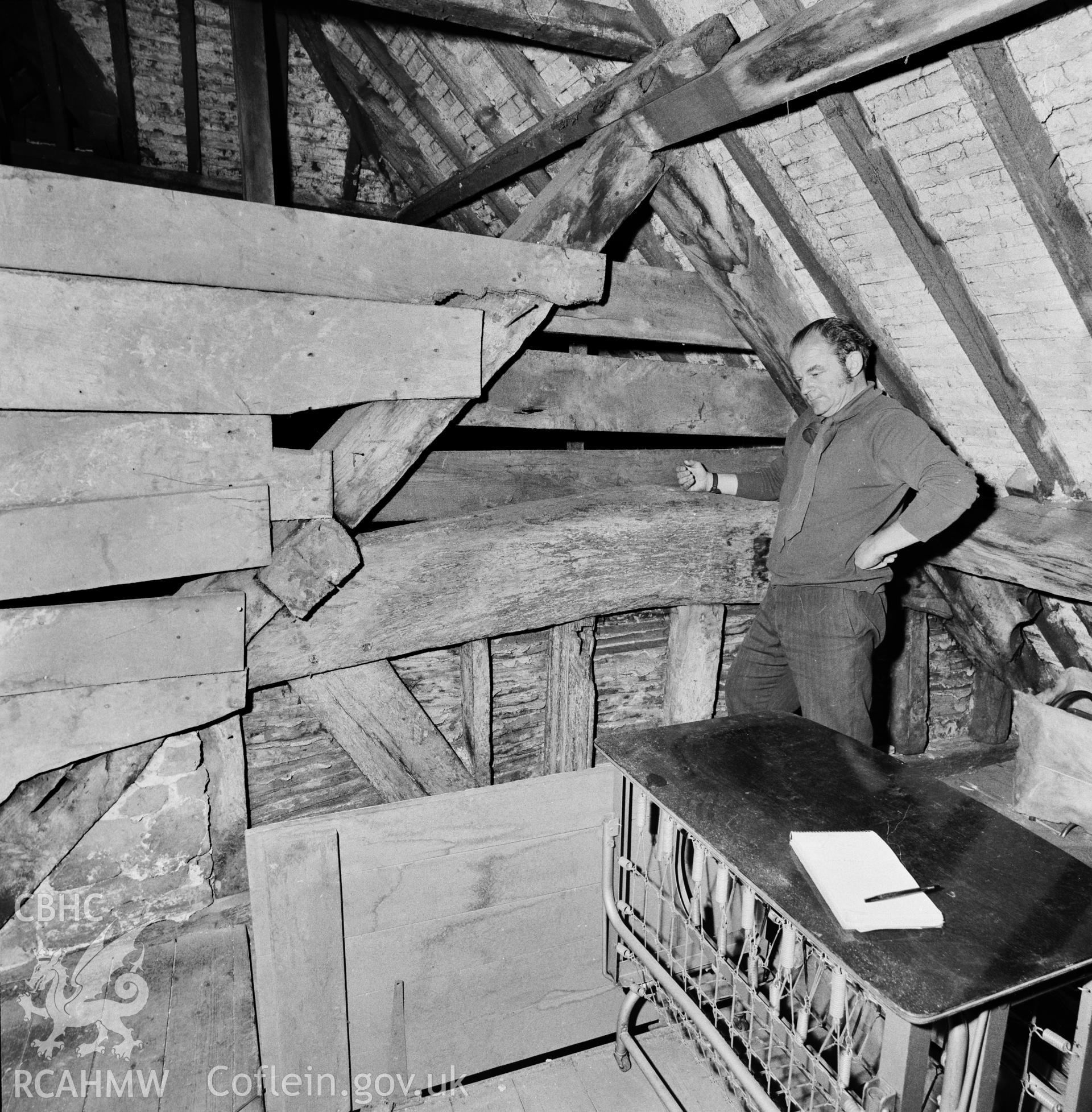 Interior detail - roof
