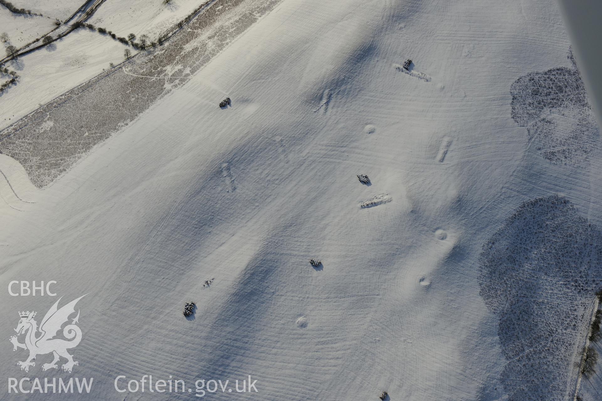 Coed Swydd pillow mounds, north east of Llandrindod Wells. Oblique aerial photograph taken during the Royal Commission?s programme of archaeological aerial reconnaissance by Toby Driver on 15th January 2013.