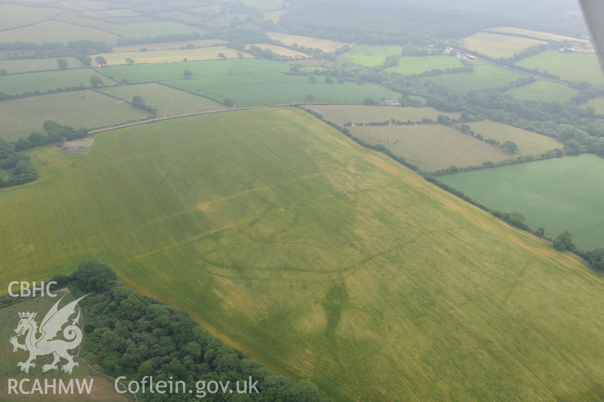 Royal Commission aerial photography of cropmarks of the enclosure complex at Conkland Hill taken during drought conditions on 22nd July 2013.