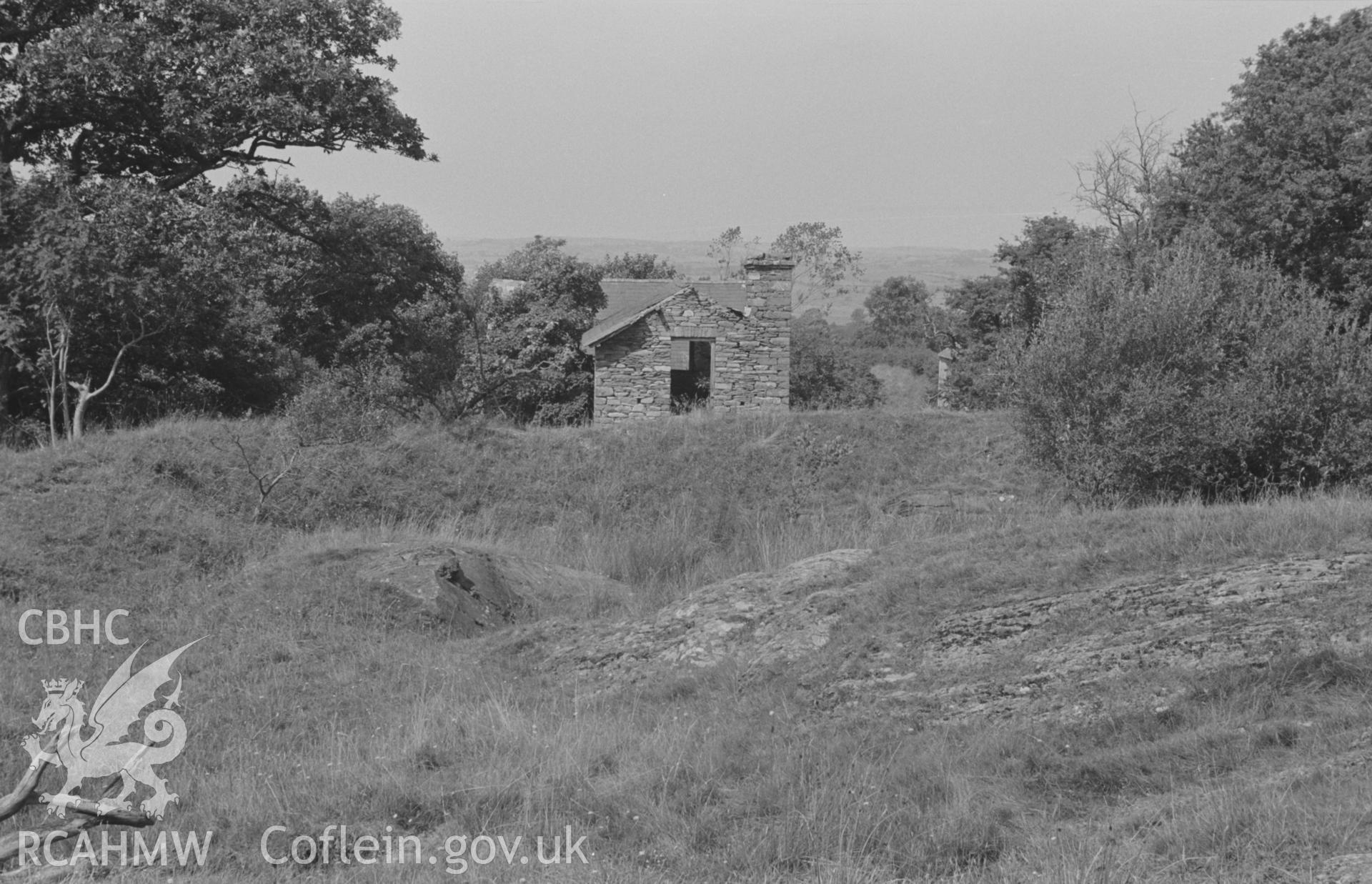 Digital copy of a black and white negative showing view looking across the empty millpond to Felin Fflur. Photographed by Arthur O. Chater in August 1967. (View looking west north west from Grid Reference SN 7210 6427).