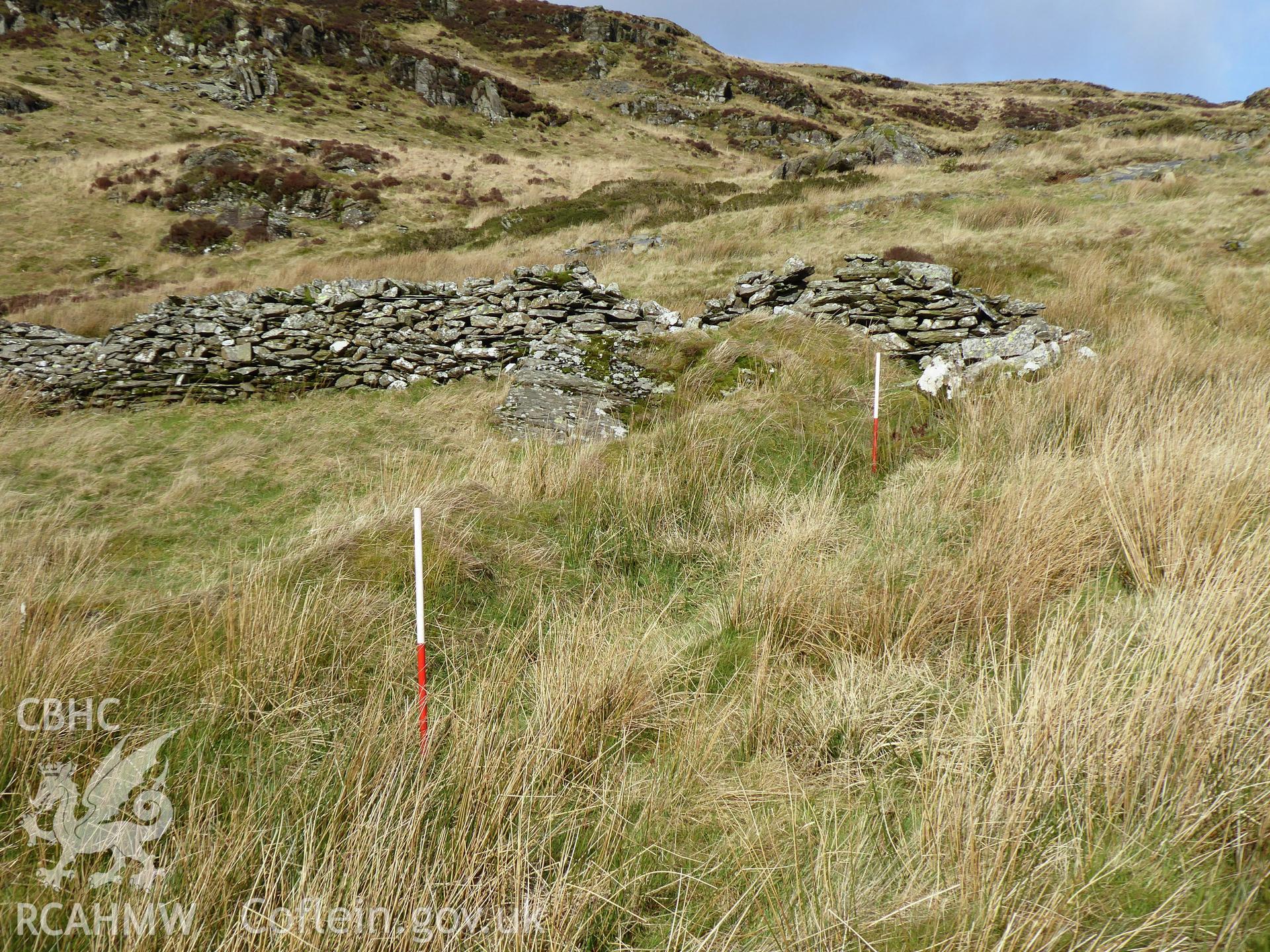 Cribau bank, photographed on 11th February 2019 as part of archaeological assessment of Antur Stiniog Downhill Cycle Tracks Extension, conducted by I. P. Brooks of Engineering Archaeological Services Ltd.