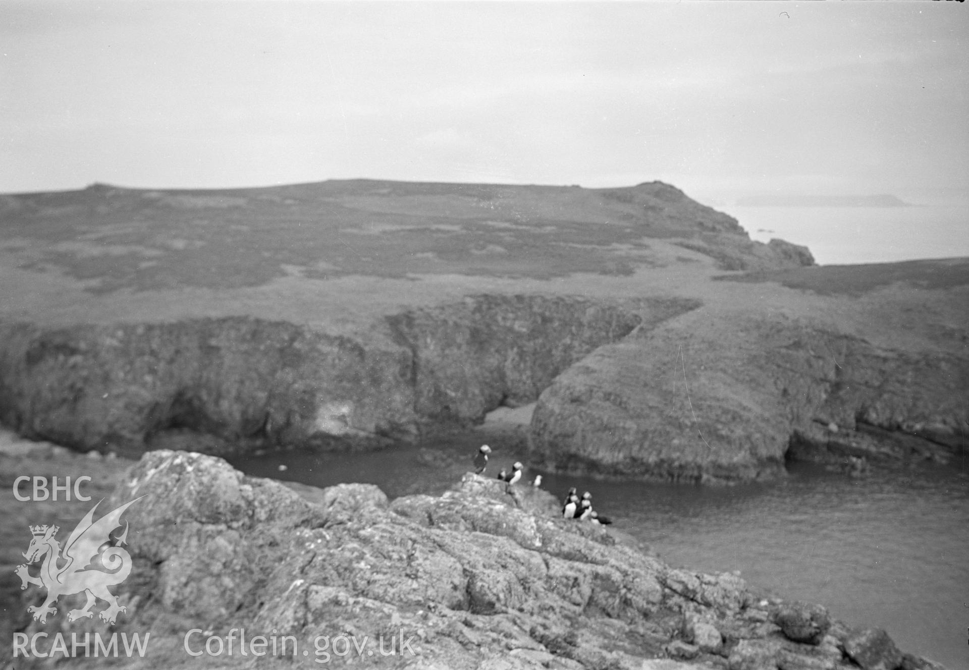 Digital copy of a nitrate negative showing view of Skomer Island taken by Leonard Monroe, June 1950.
