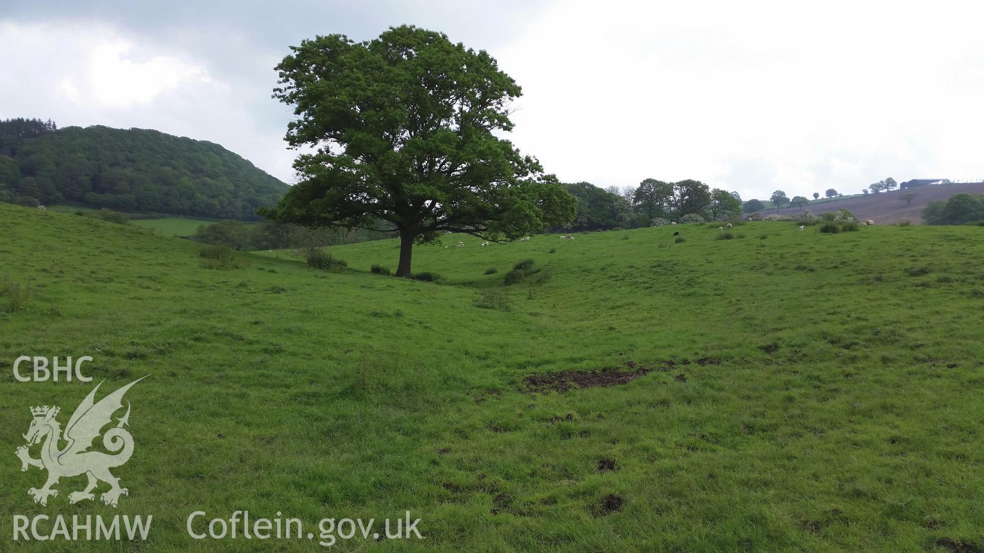 Digital colour photograph of the Maes Moydog battlefield. Photographed during Phase Three of the Welsh Battlefield Metal Detector Survey, carried out by Archaeology Wales, 2012-2014. Project code: 2041 - WBS/12/SUR.