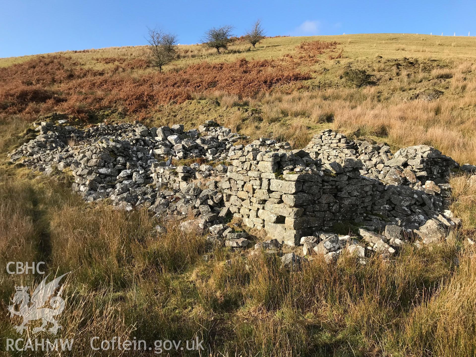 Detailed view of remains of drystone wall at Brithdir deserted settlement, Llanddewi Brefi. Colour photograph taken by Paul R. Davis on 17th November 2018.