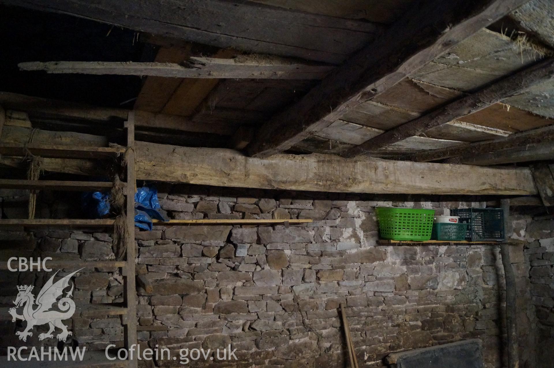 Internal view 'looking south southwest at the stable showing ceiling and Beam D' on Gwrlodau Farm, Llanbedr, Crickhowell. Photograph and description by Jenny Hall and Paul Sambrook of Trysor, 9th February 2018.