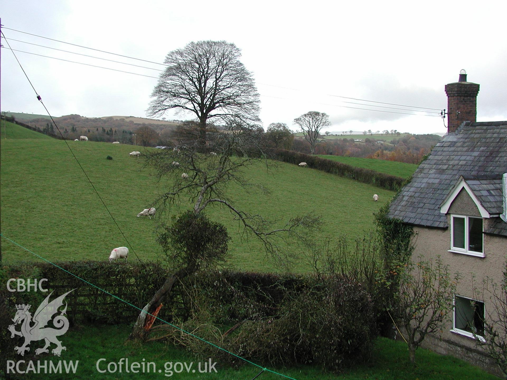 Exterior view of house and a collapsed tree. Photographic survey of Pistyll Gwyn Farmstead conducted by Geoff Ward on 13th November 2007.