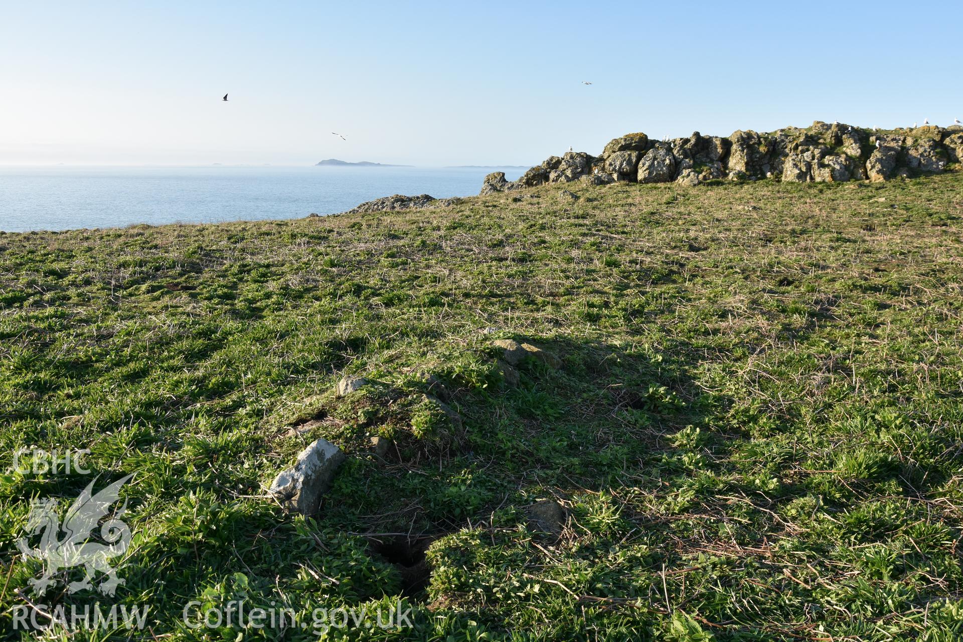 Skomer Island cairn group 1. Field survey 19 April 2018. Cairn C