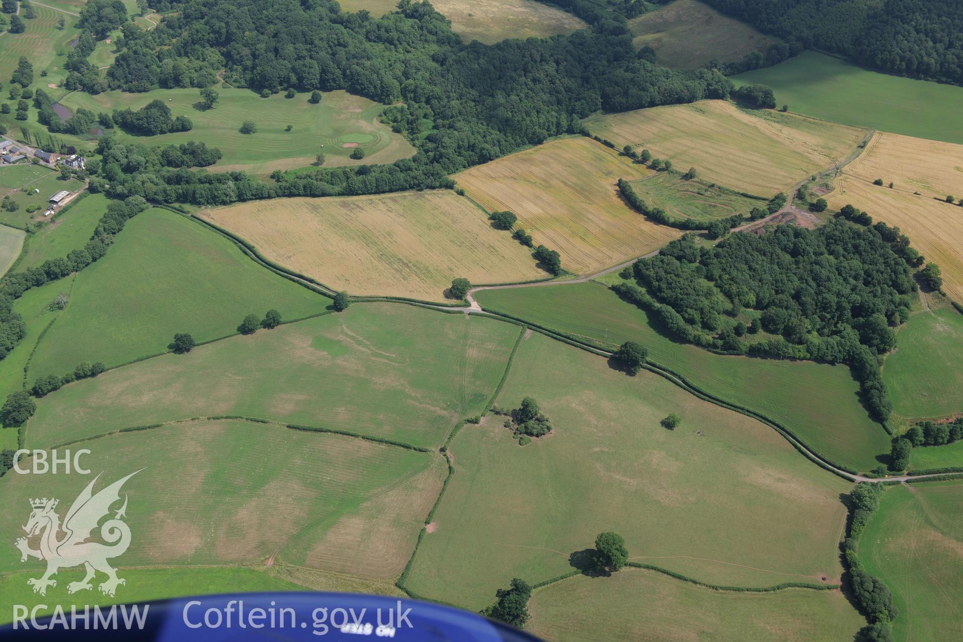 Cropmarks to the south-east of Grace Dieu Cistercian Abbey, west of Monmouth. Oblique aerial photograph taken during the Royal Commission?s programme of archaeological aerial reconnaissance by Toby Driver on 1st August 2013.
