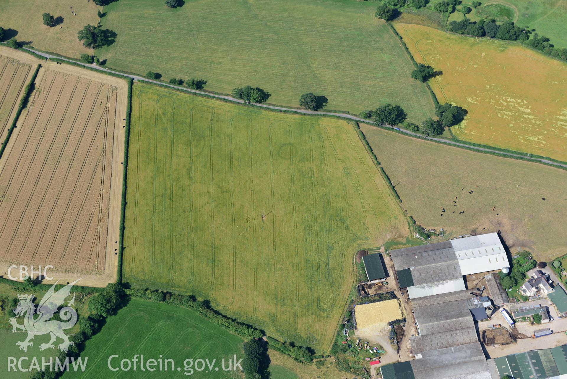 Royal Commission aerial photography of cropmarks of Plas yn Rhal barrow cemetery taken on 19th July 2018 during the 2018 drought.