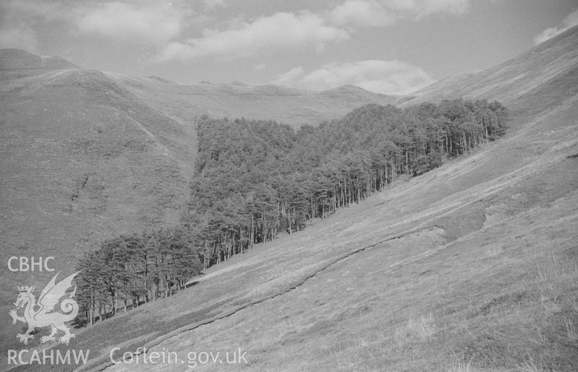 Digital copy of a black and white negative showing view of Nant-y-Gog plantation at Cwm Rhaiadr, south of Machynlleth. Photographed by Arthur O. Chater in September 1965.