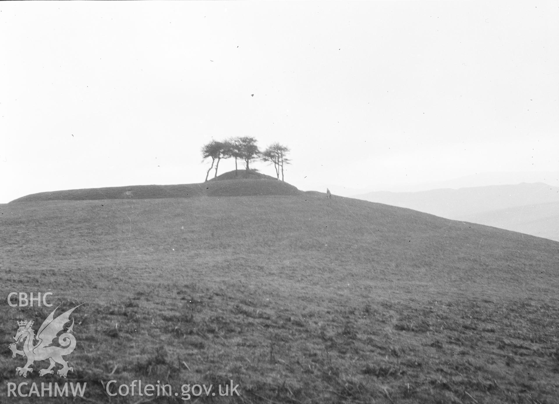 Digital copy of a nitrate negative showing Crug Eryr Castle Mound.