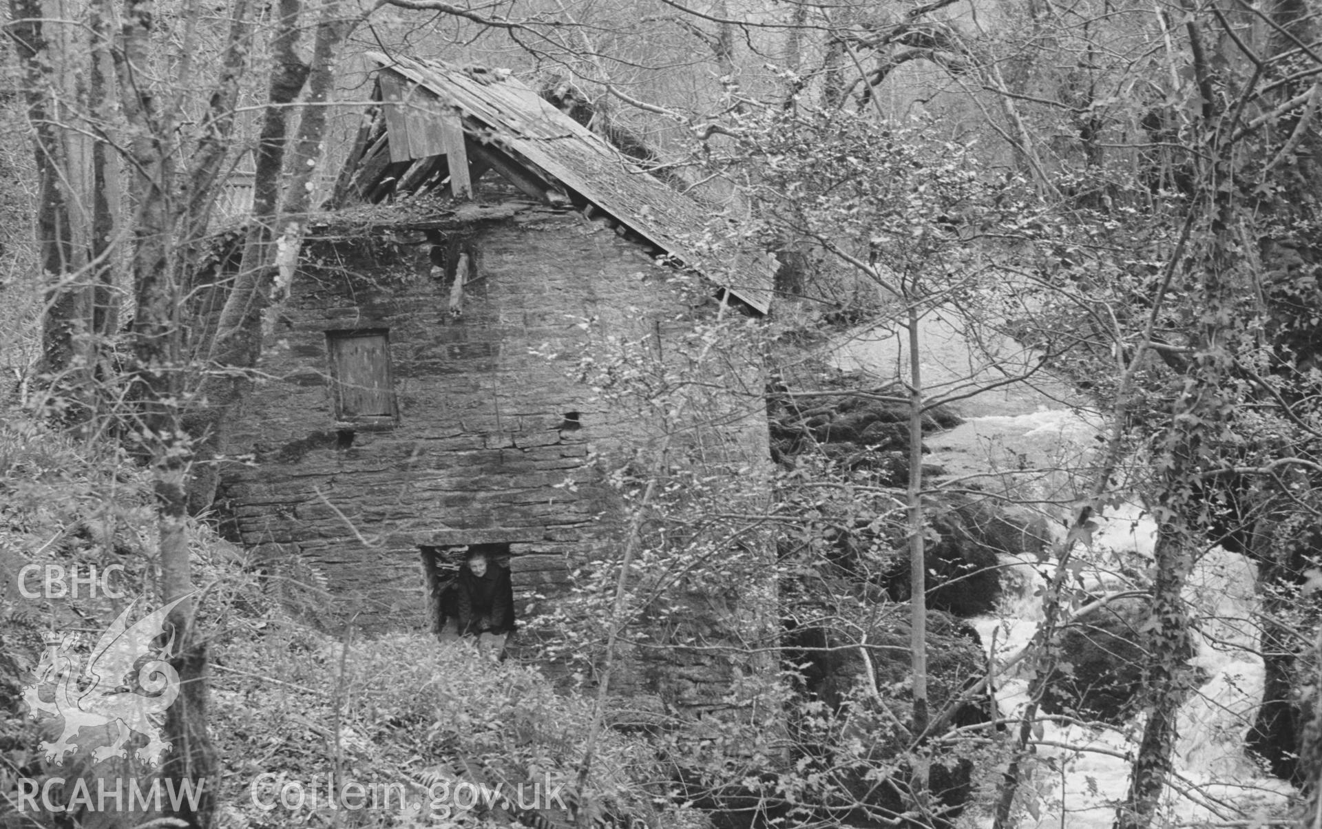 Digital copy of black & white negative showing Felin Cwrrws: the mill building beside Nant Gwylan (looking upstream), showing opening in wall above the wheel-pit. Photographed by Arthur O. Chater in April 1966 from Grid Reference SN 354 412, looking east.